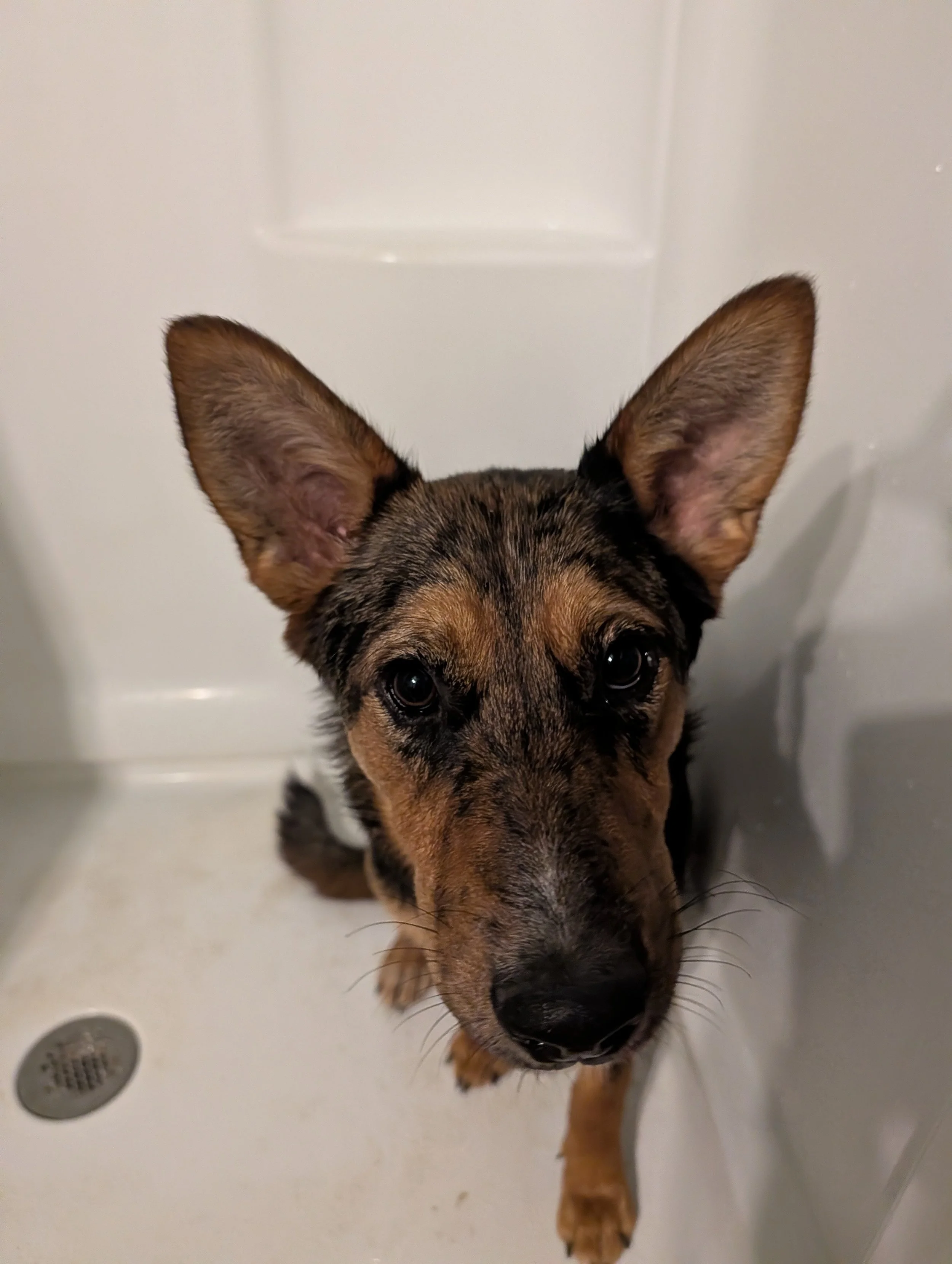 Full Service Bath