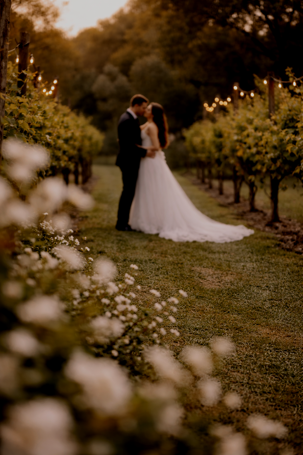 ChatGPT Image Apr 6, 2026, 11_51_02 PM.png