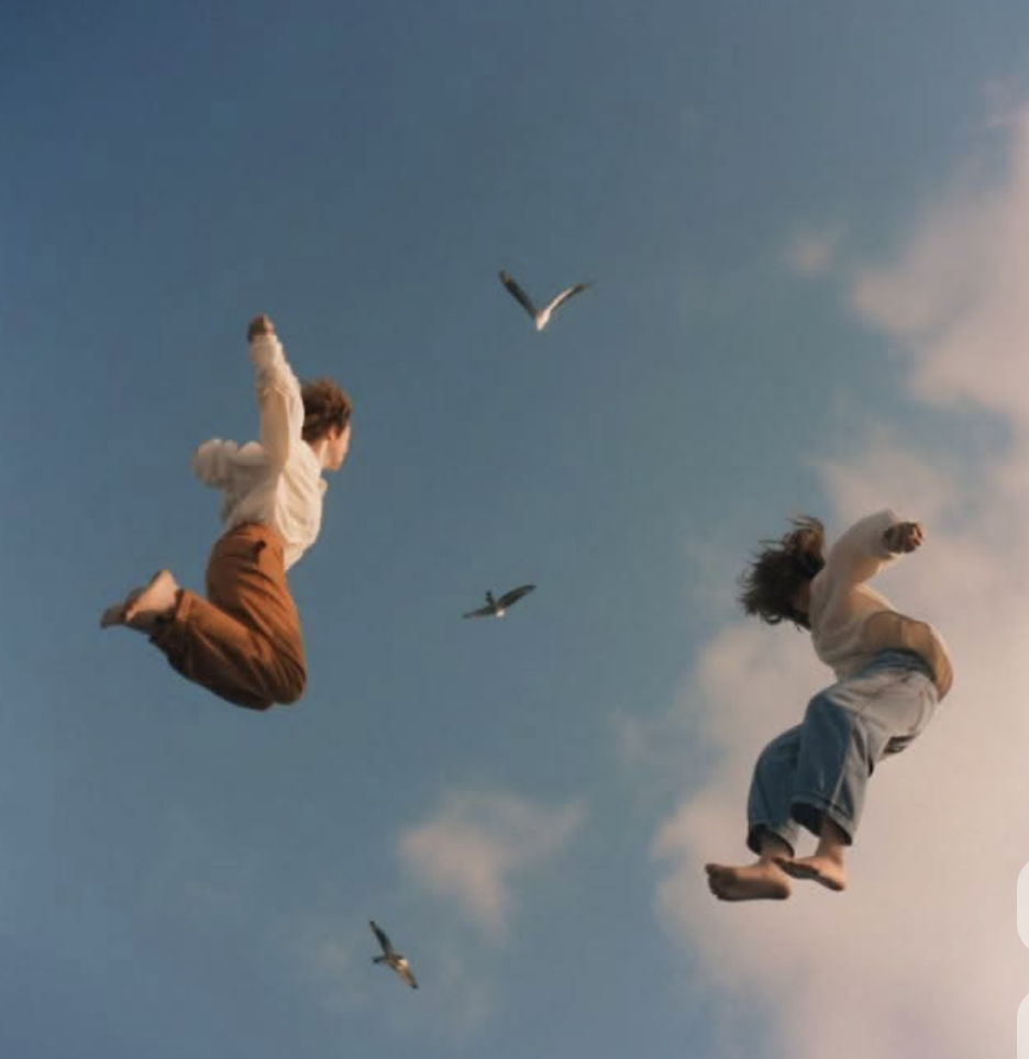 My Lost Dreams are Birds