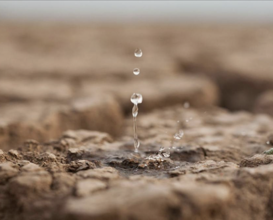 From the First Drop of Water