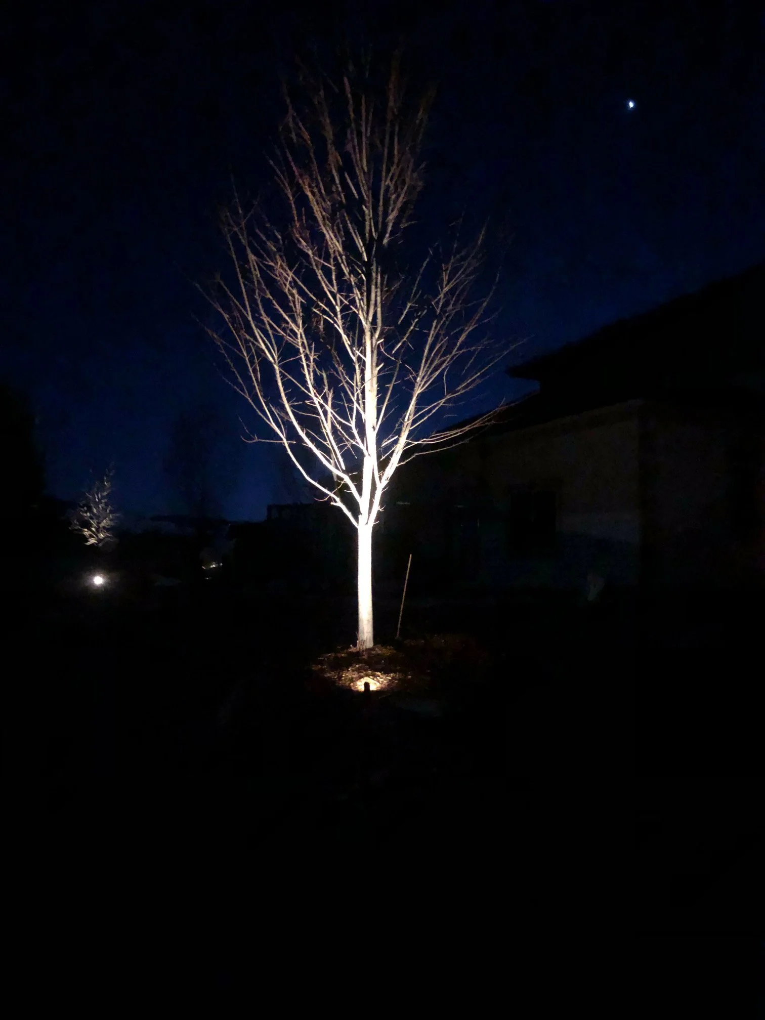 image2 (1).jpeg