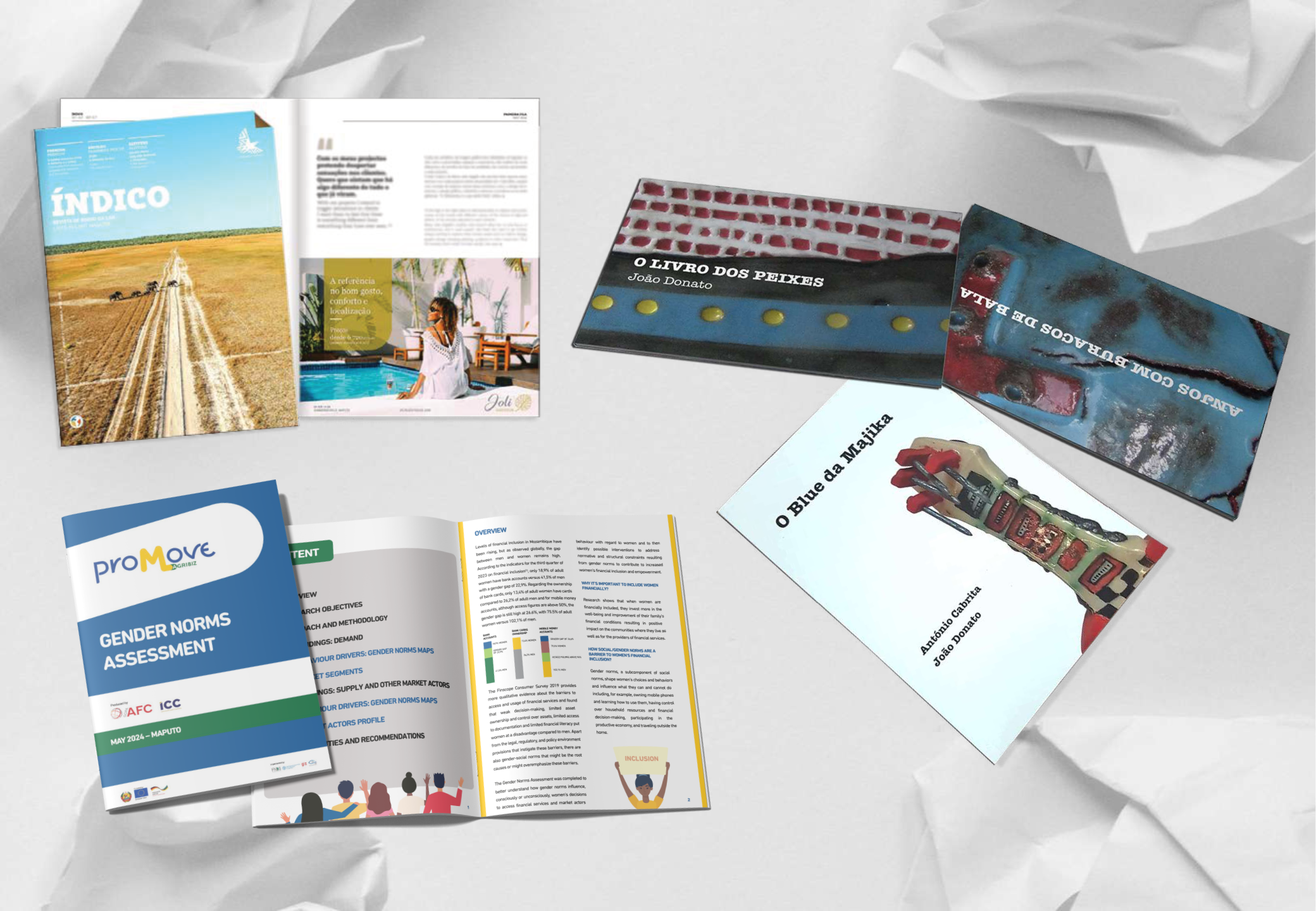 Book / Magazine Editorial Design