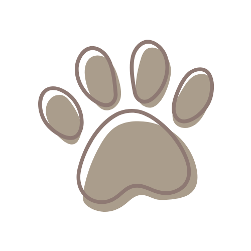 Paws First Dog Training