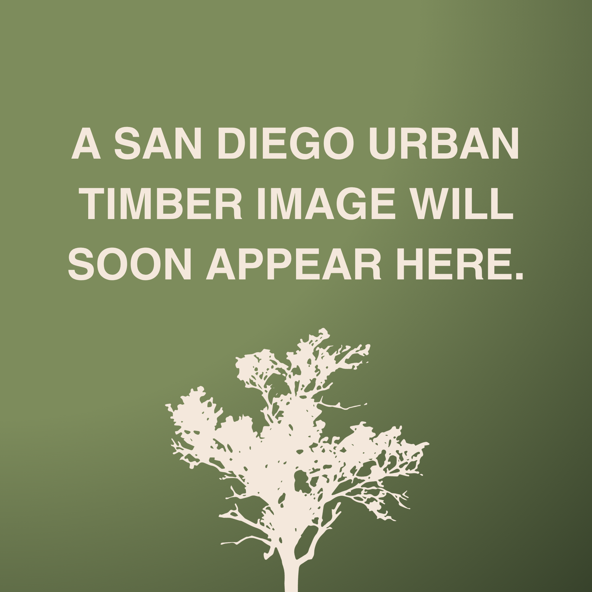 Placeholder indicating that a San Diego urban timber image will appear soon.