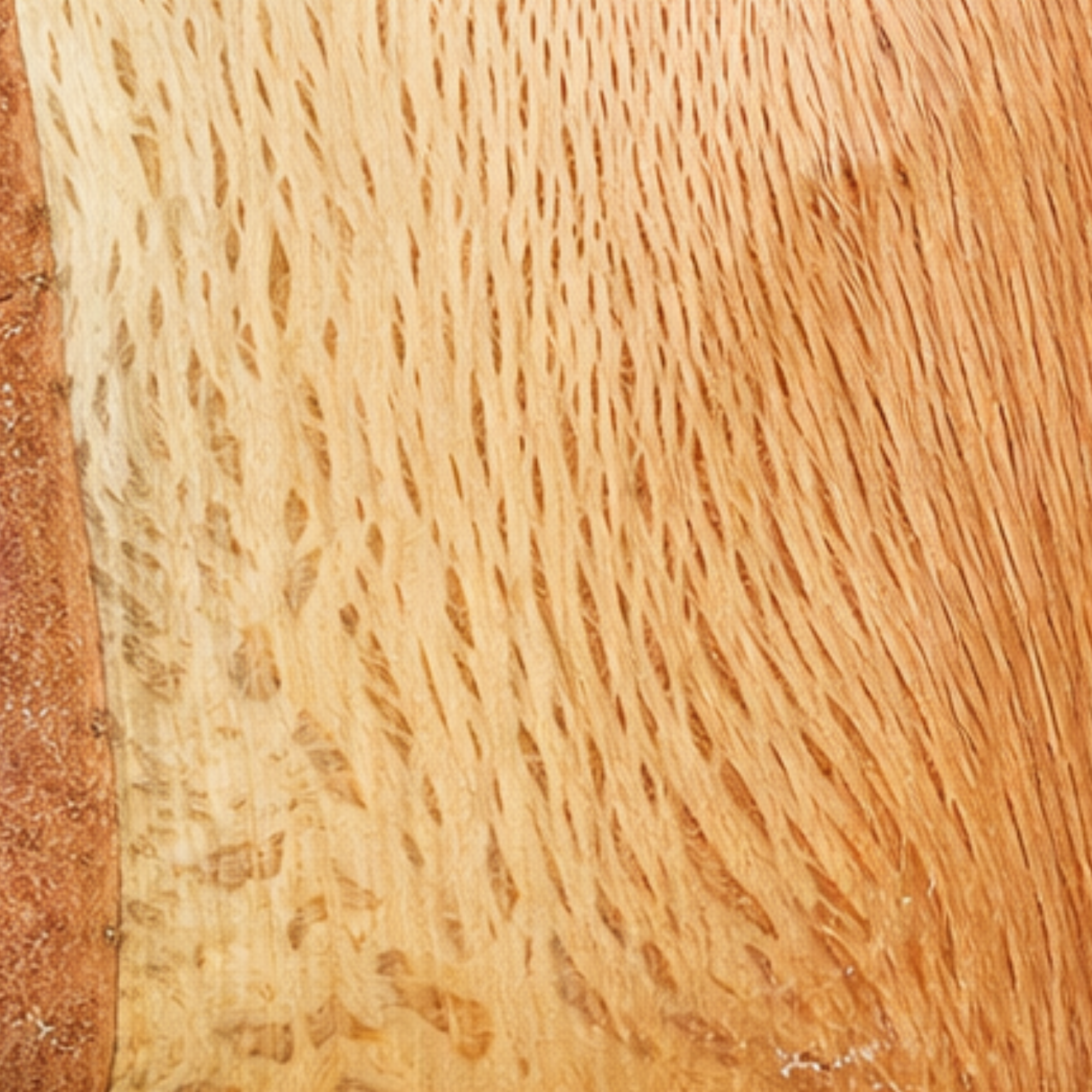 Close-up image of a wooden door with visible wood grain textures.