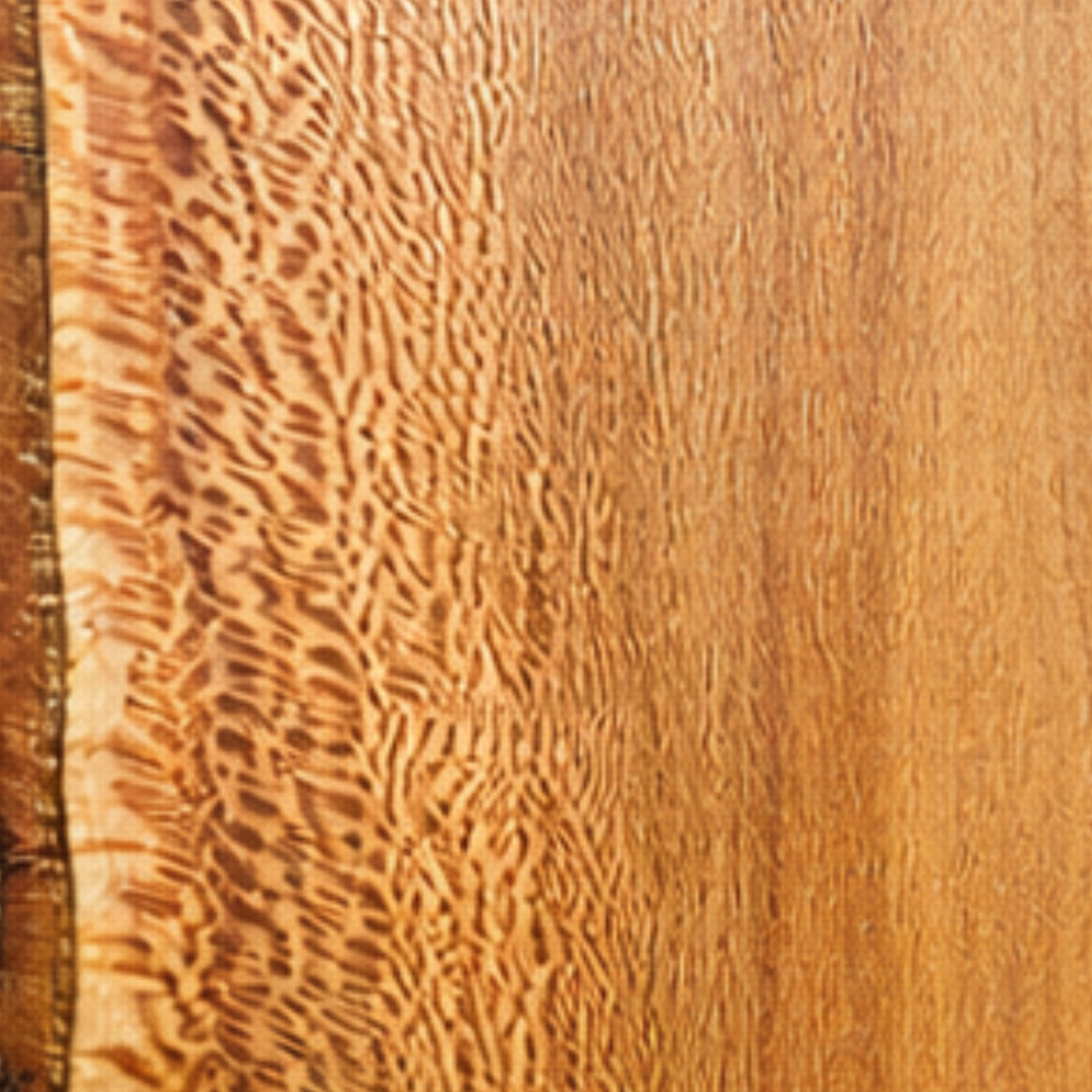 Close-up image of a wooden surface with a section of carved animal print pattern on the left side.