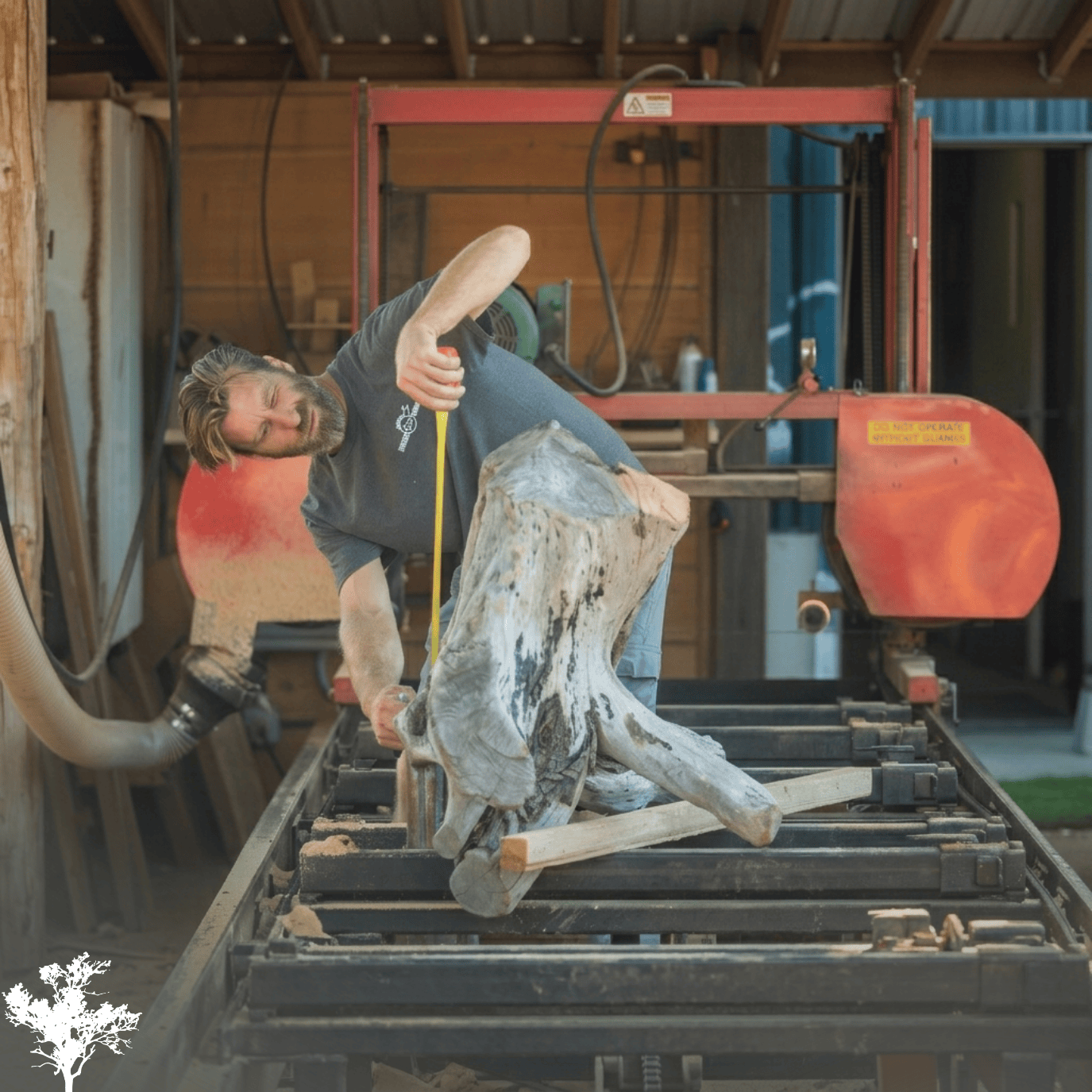 A man working on a large piece of wood or driftwood in a woodworking shop, using a measuring tape. The shop has wooden walls, tools, and a red bandsaw in the background.