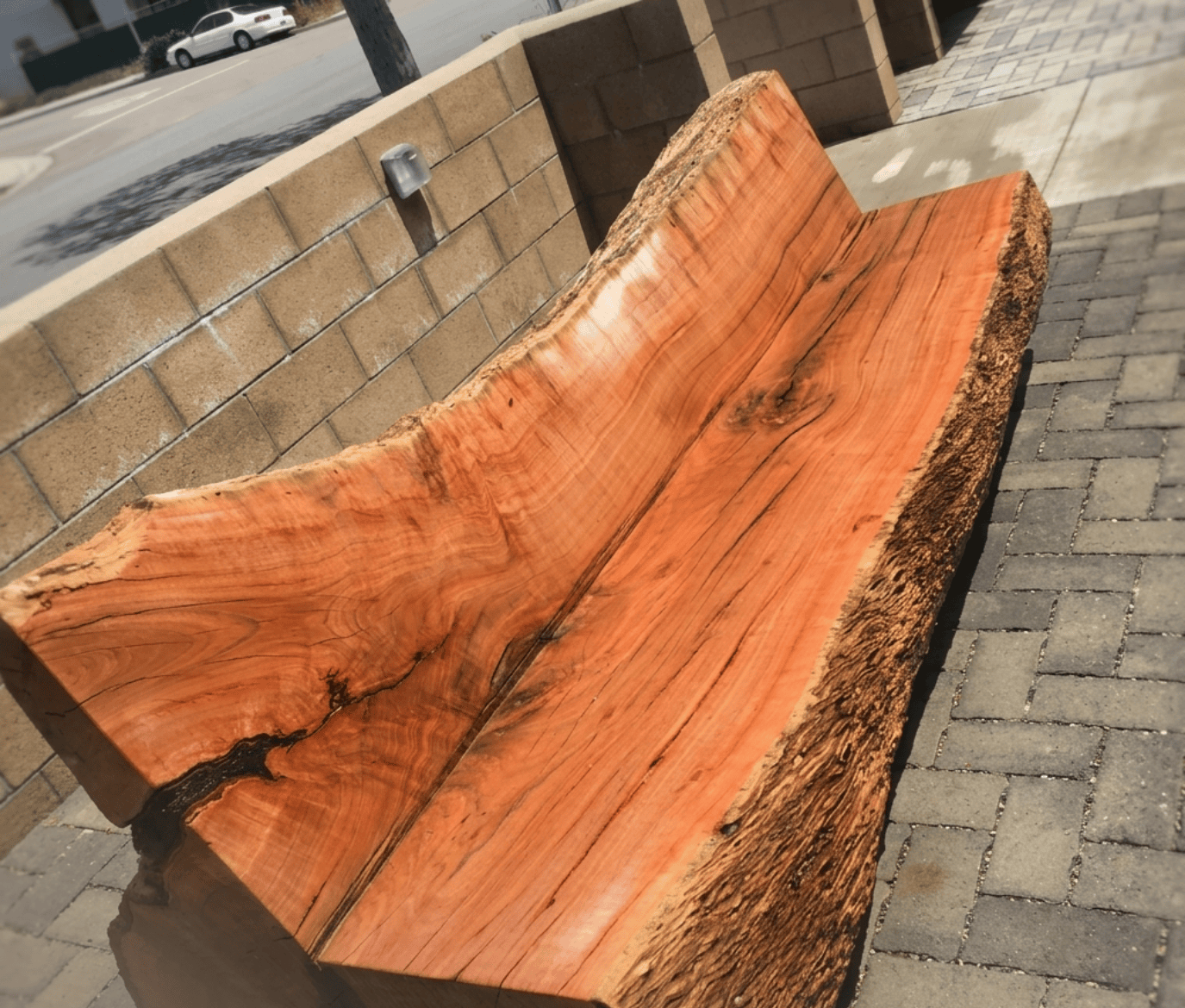 Wooden bench carved from a single large piece of wood with a polished seat and natural live edges, placed outdoors on a paved sidewalk.