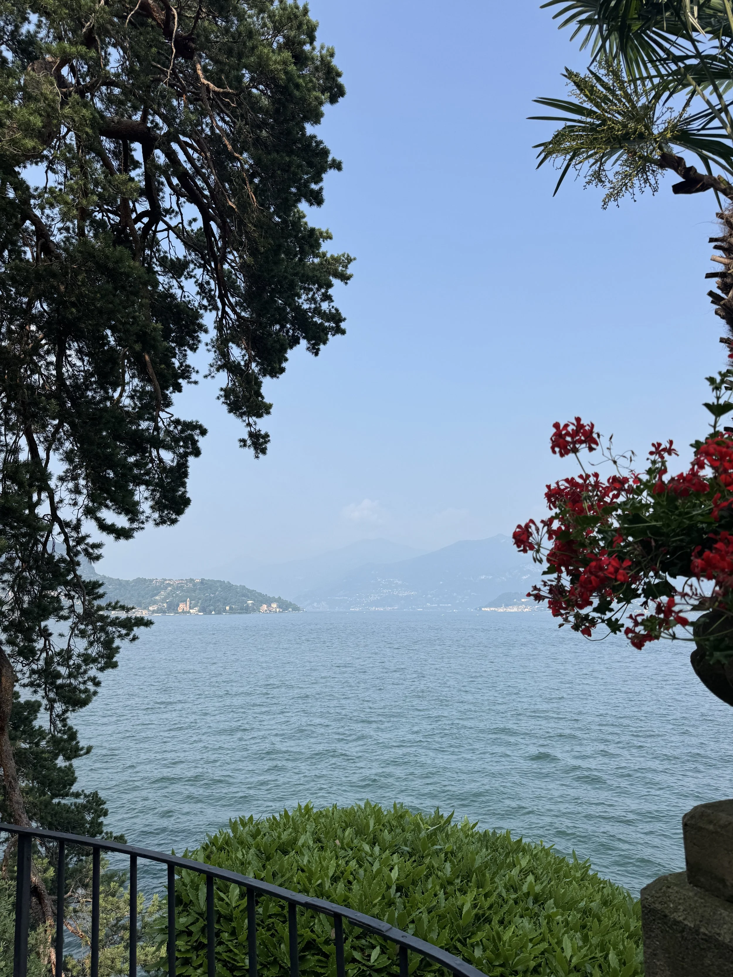 Lookout over Lake como, with trees in the foreground, colorful flowers and the water