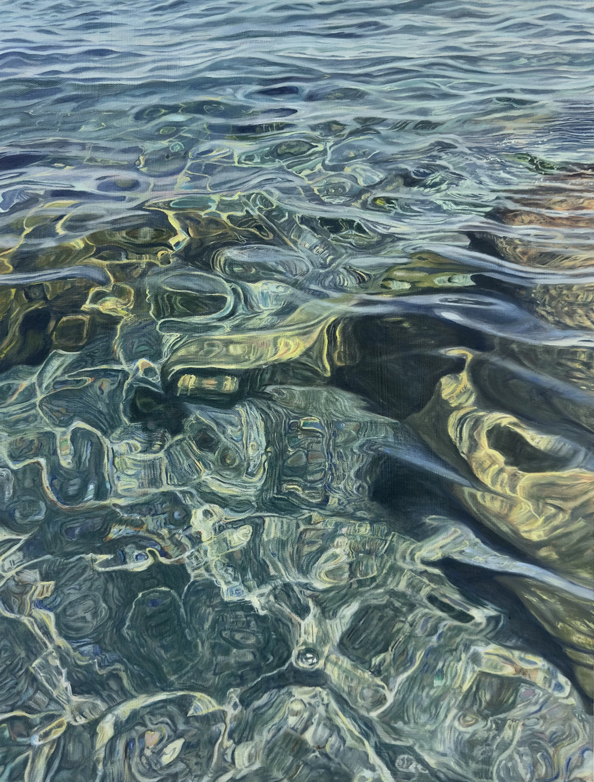 Shallows Fine Print