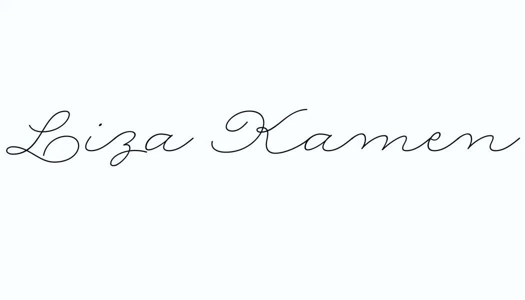 Liza Kamen Art