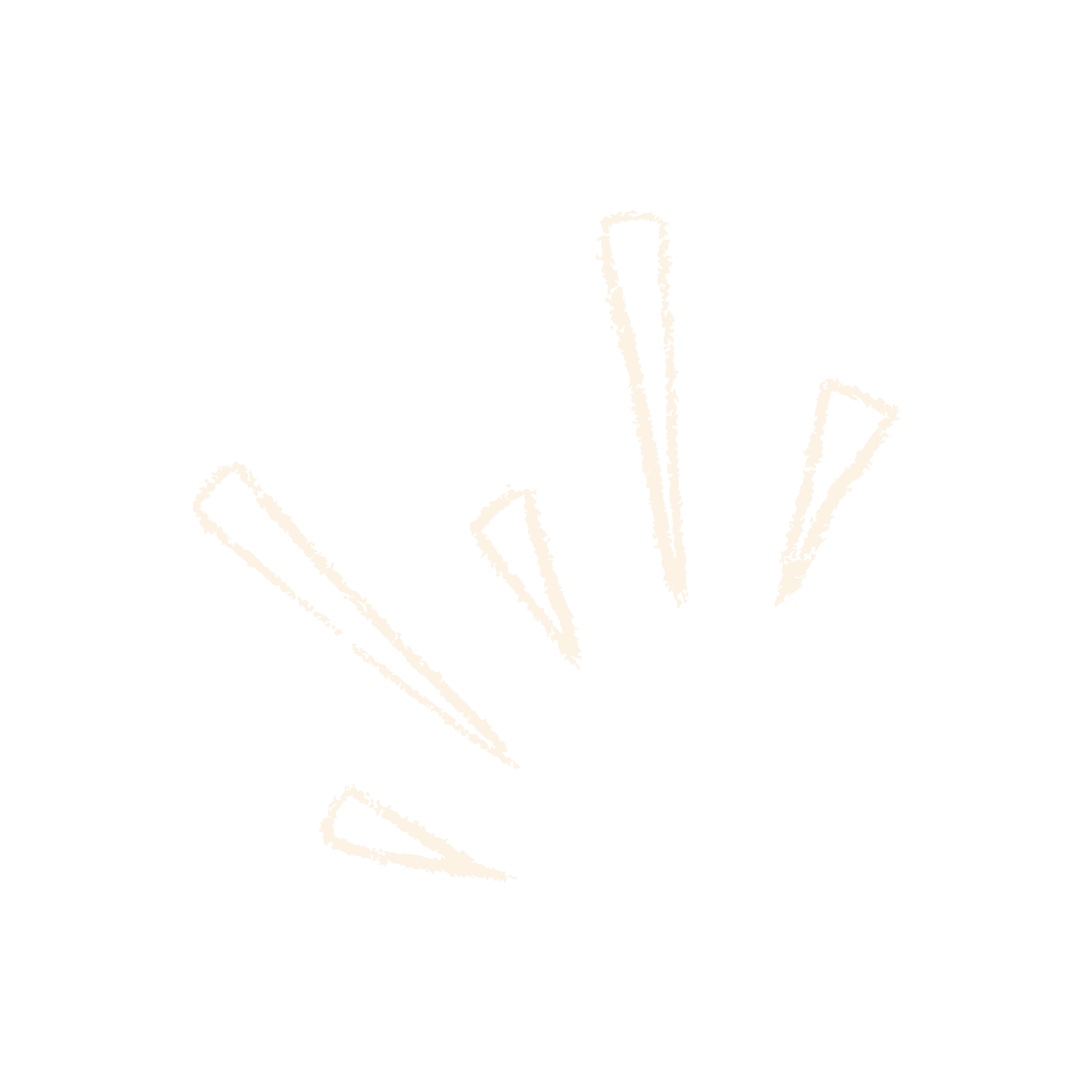 Line drawing of a bunch of grass with several blades of grass in black on a transparent background.