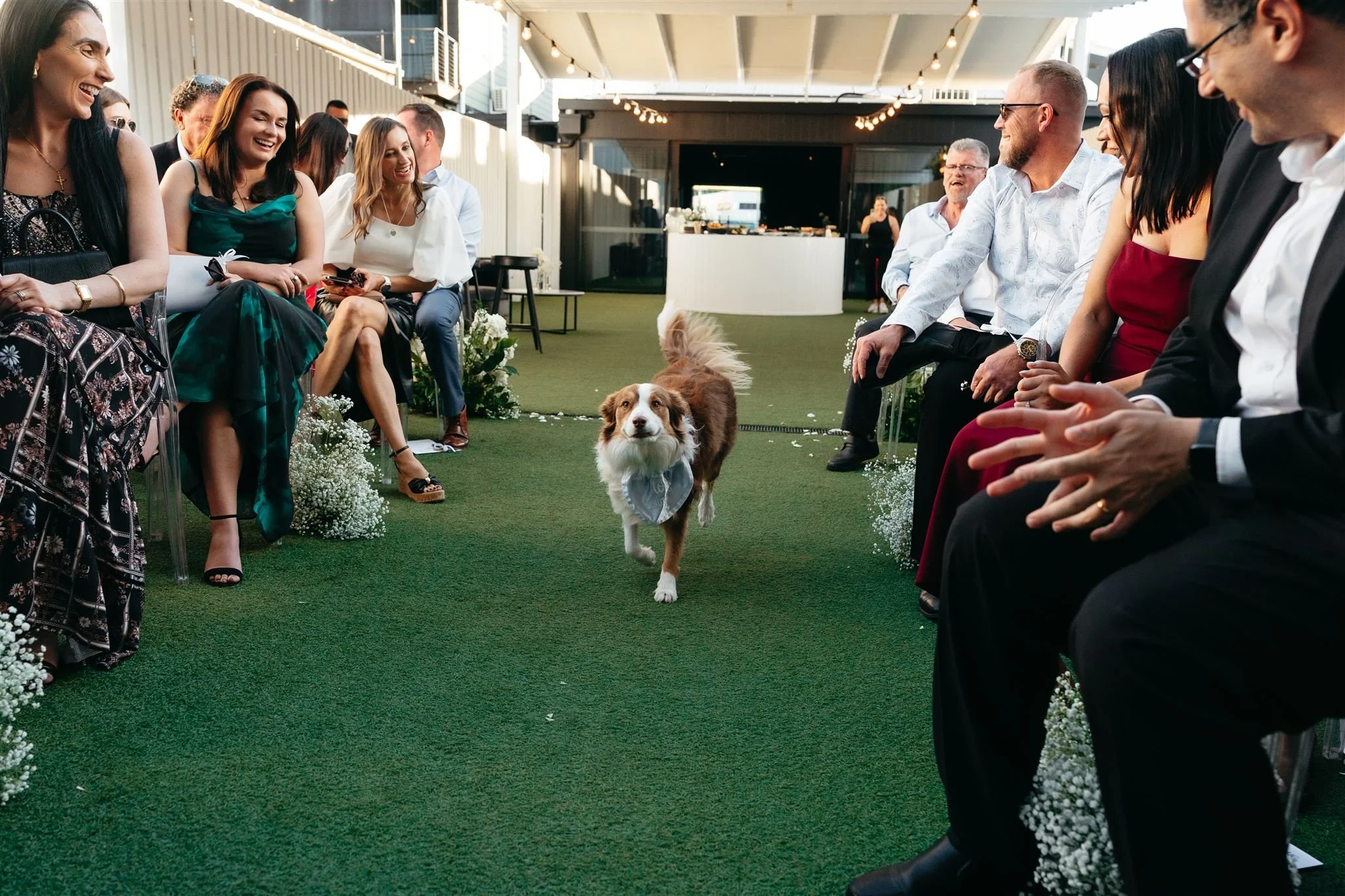 Pet Friendly Recommendations
