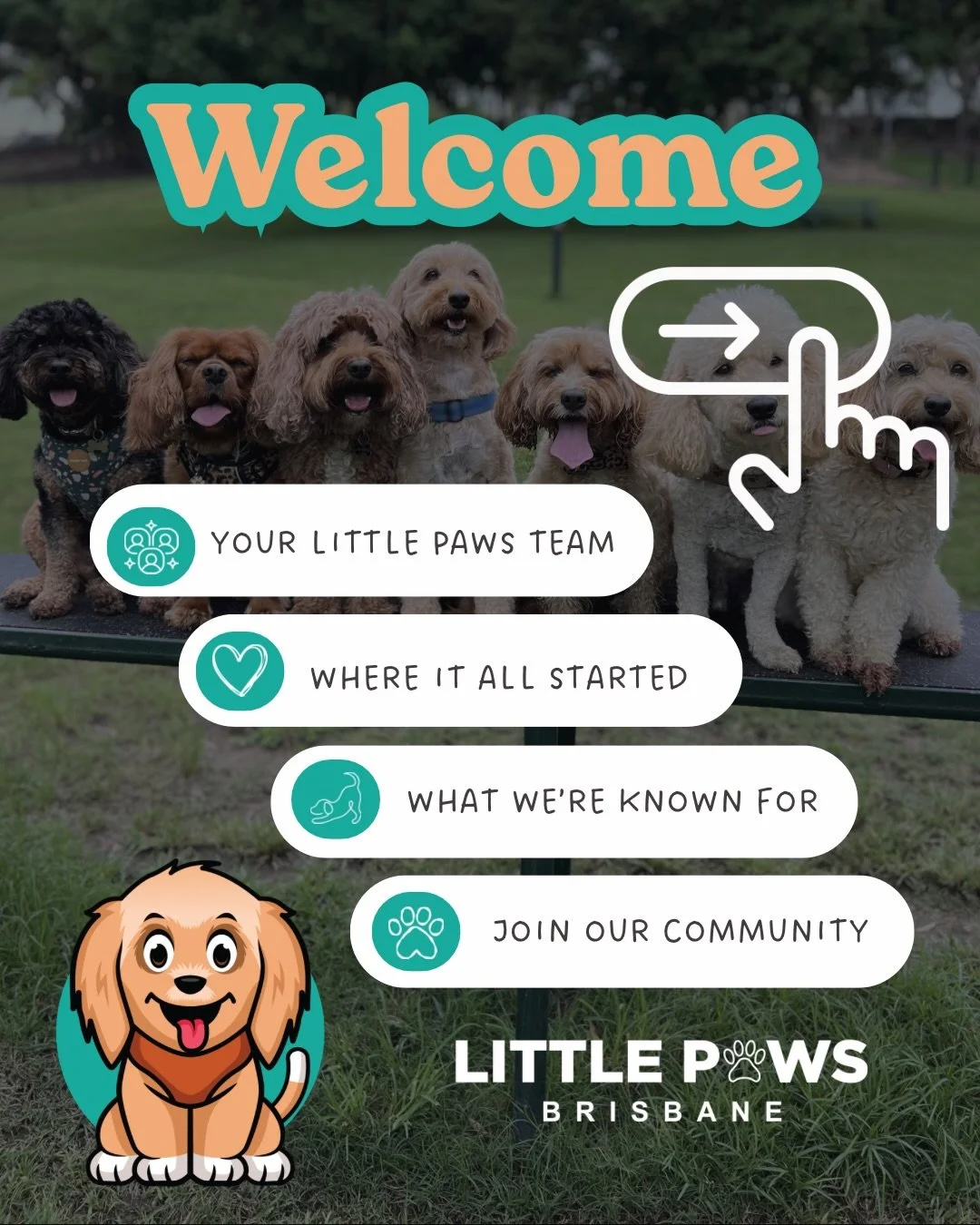 Before you trust us with your dog, get to know us 🤍

👉🏼 If you&rsquo;re new here, consider this your introduction to Little Paws Brisbane. Meet the team, learn our story and discover our incredible community!

To continue learning how we can help 