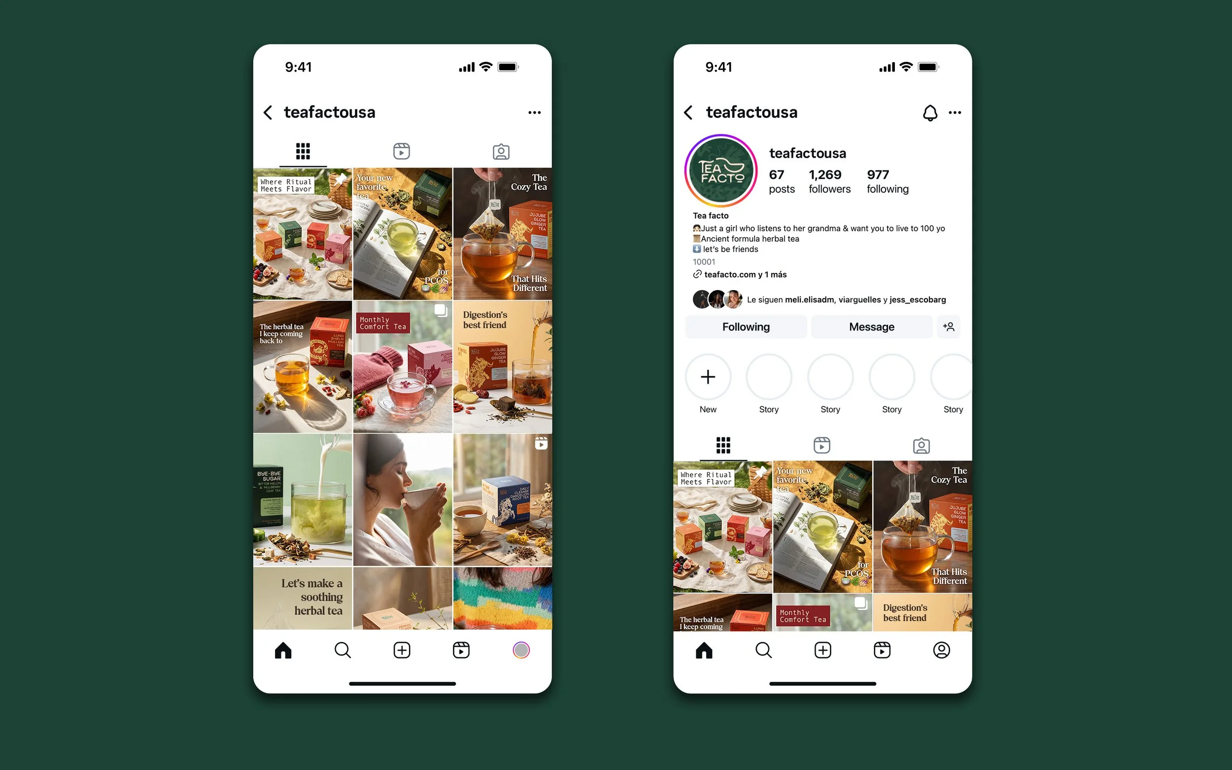 Instagram Grid Mockup Teafacto_1.jpg