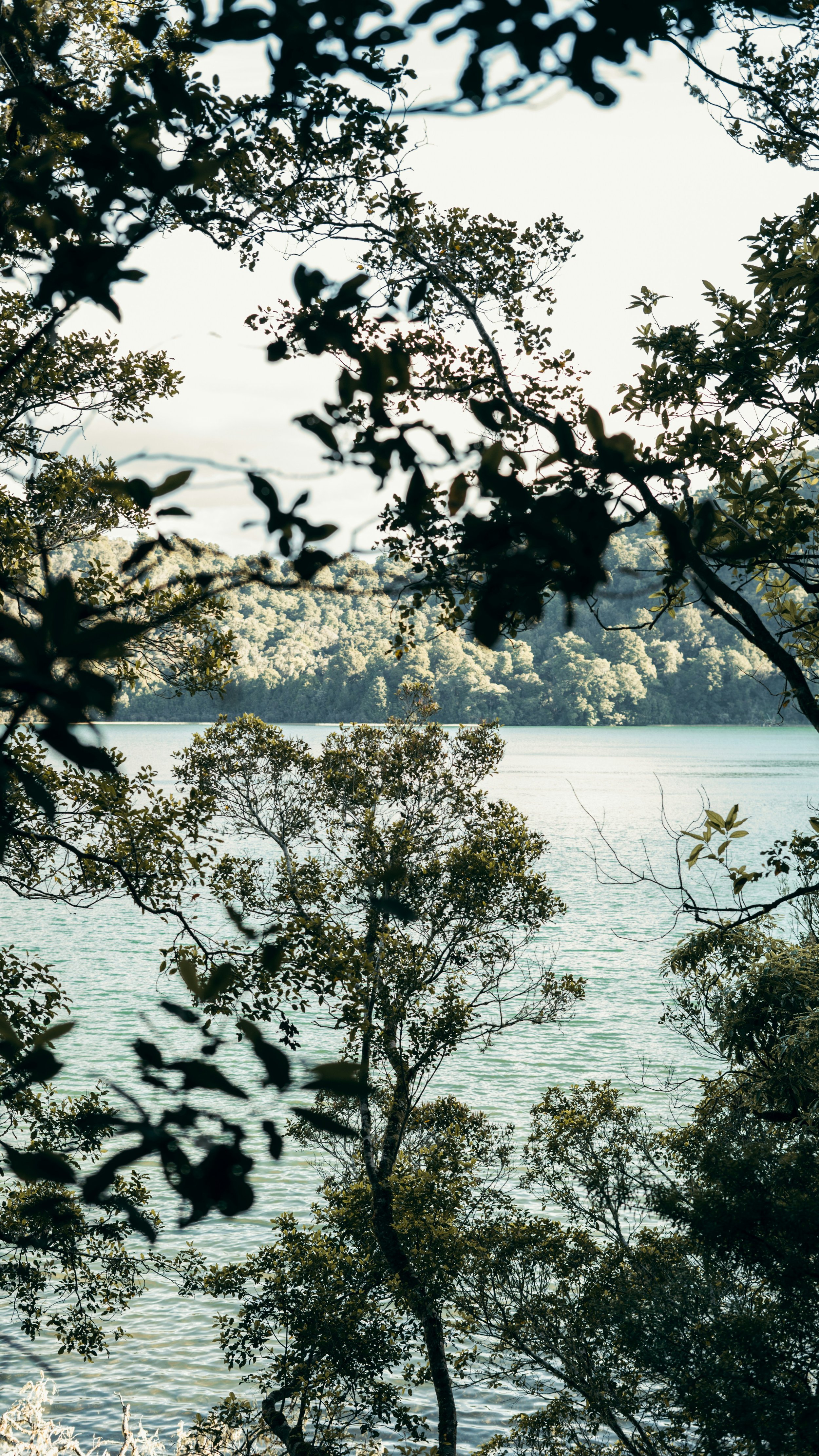 Beautiful bay side landscape