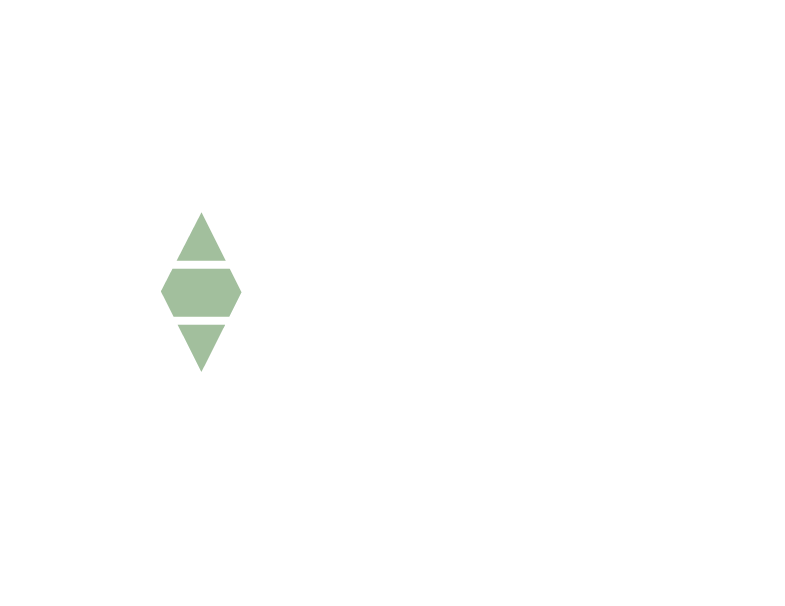 Vigilus Accounting