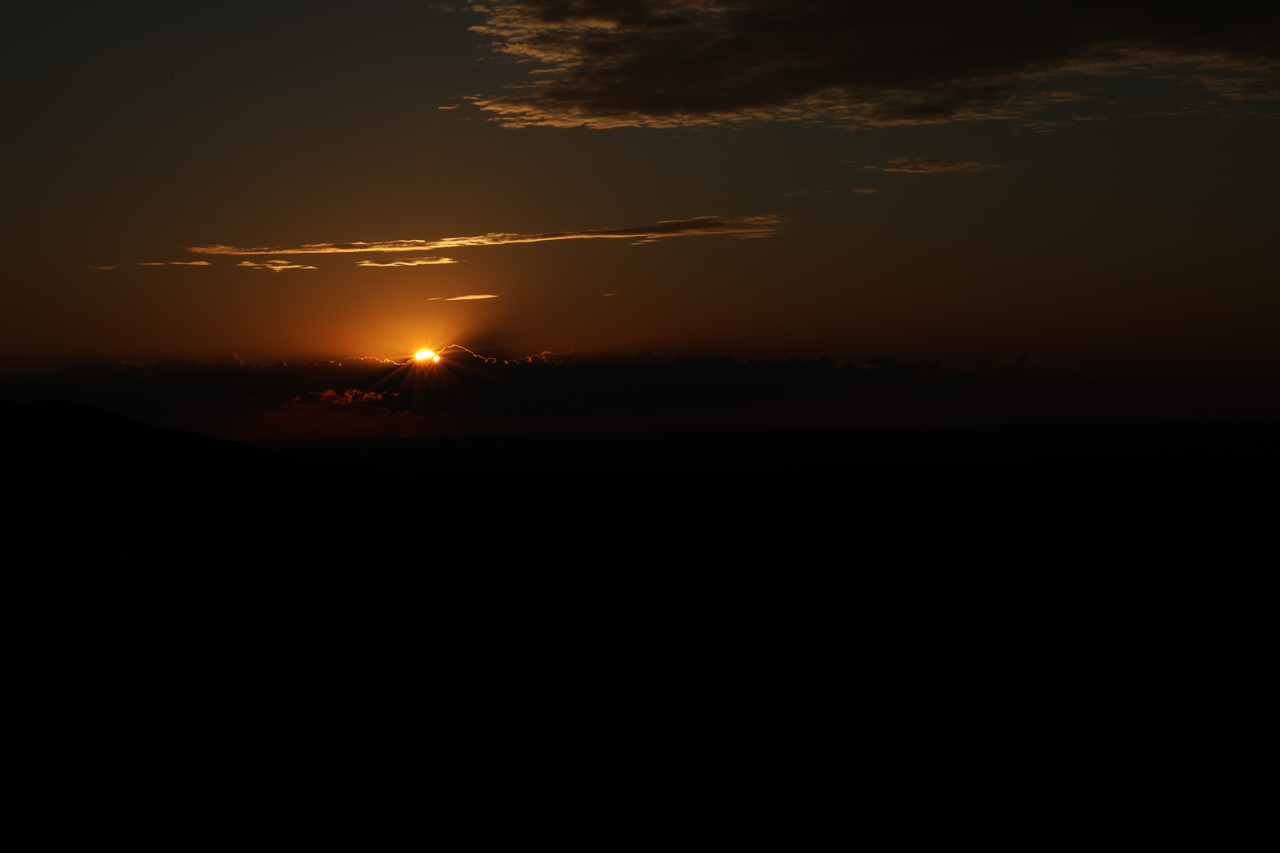 IMGC9526 Large.png