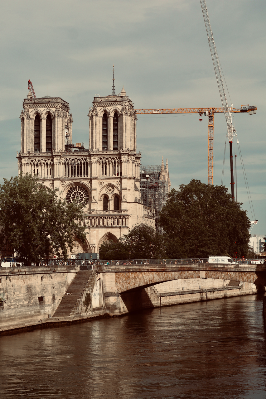 IMG_3361 Large.png