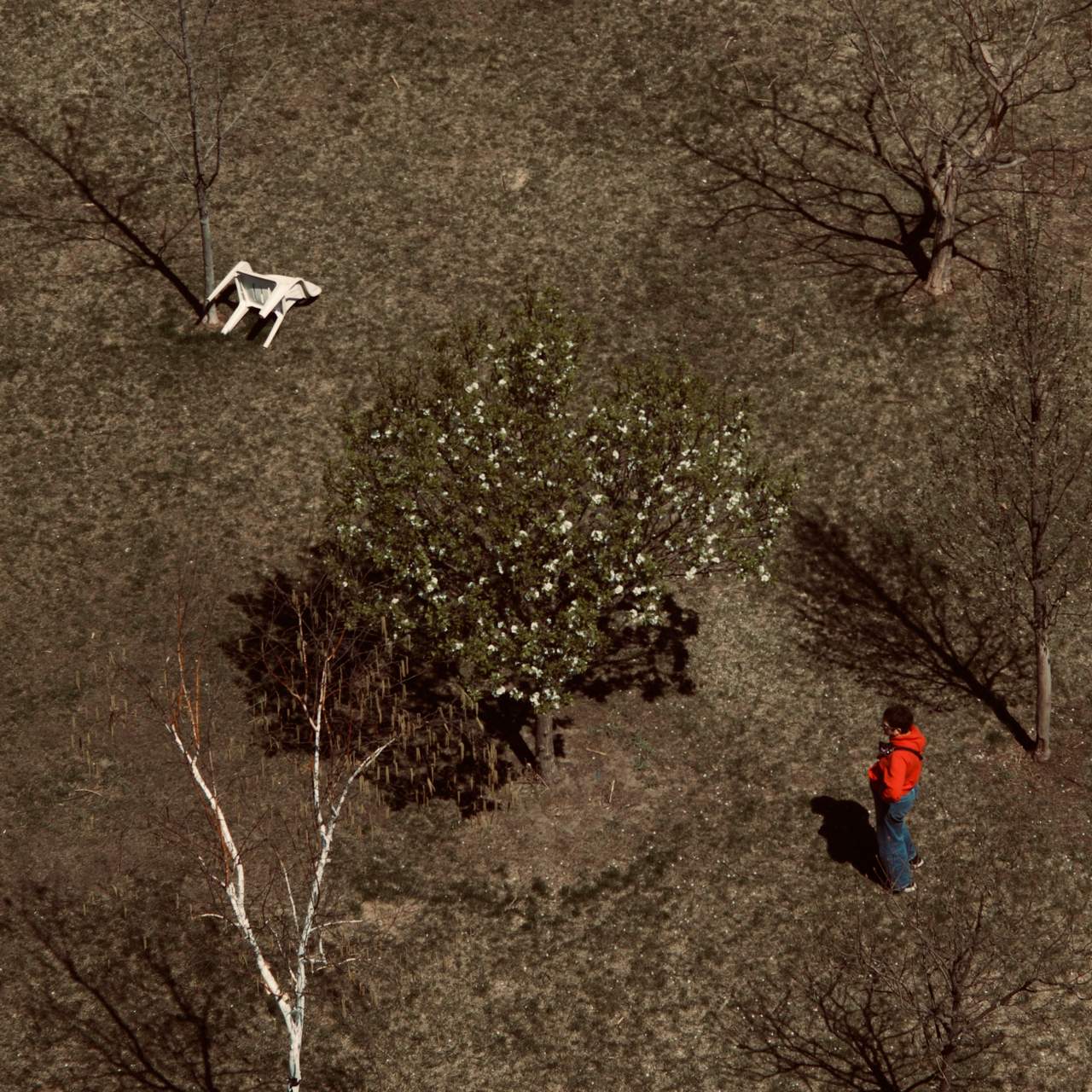 IMGC1249 Large.png