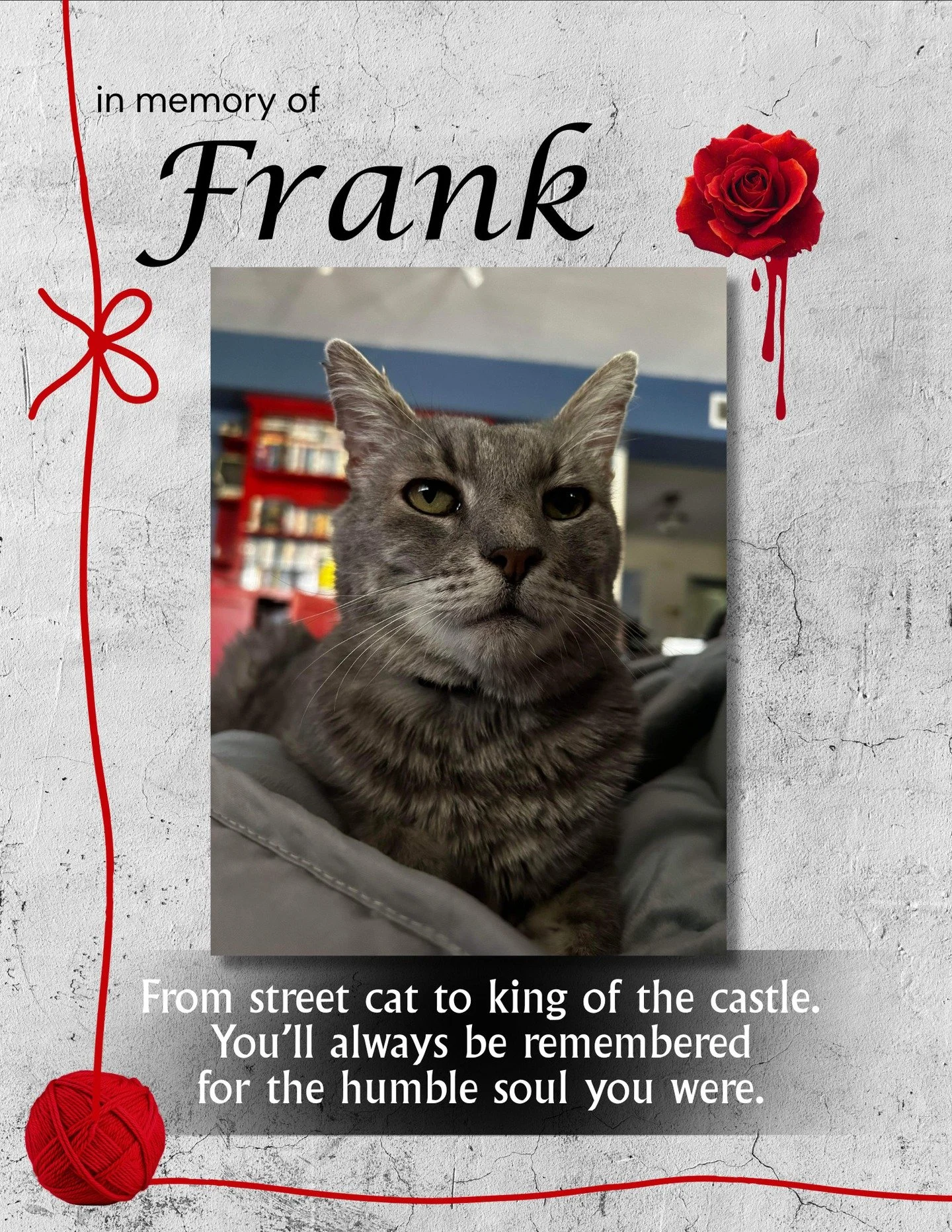 You were one of the best cats I ever knew, Frank. I know you got that from your folks, Eric and Karen. From street cat to King of the Jungle, you were always the best. I'm going to miss you sleeping beside me every time I slept over. Love, Uncle Rudy