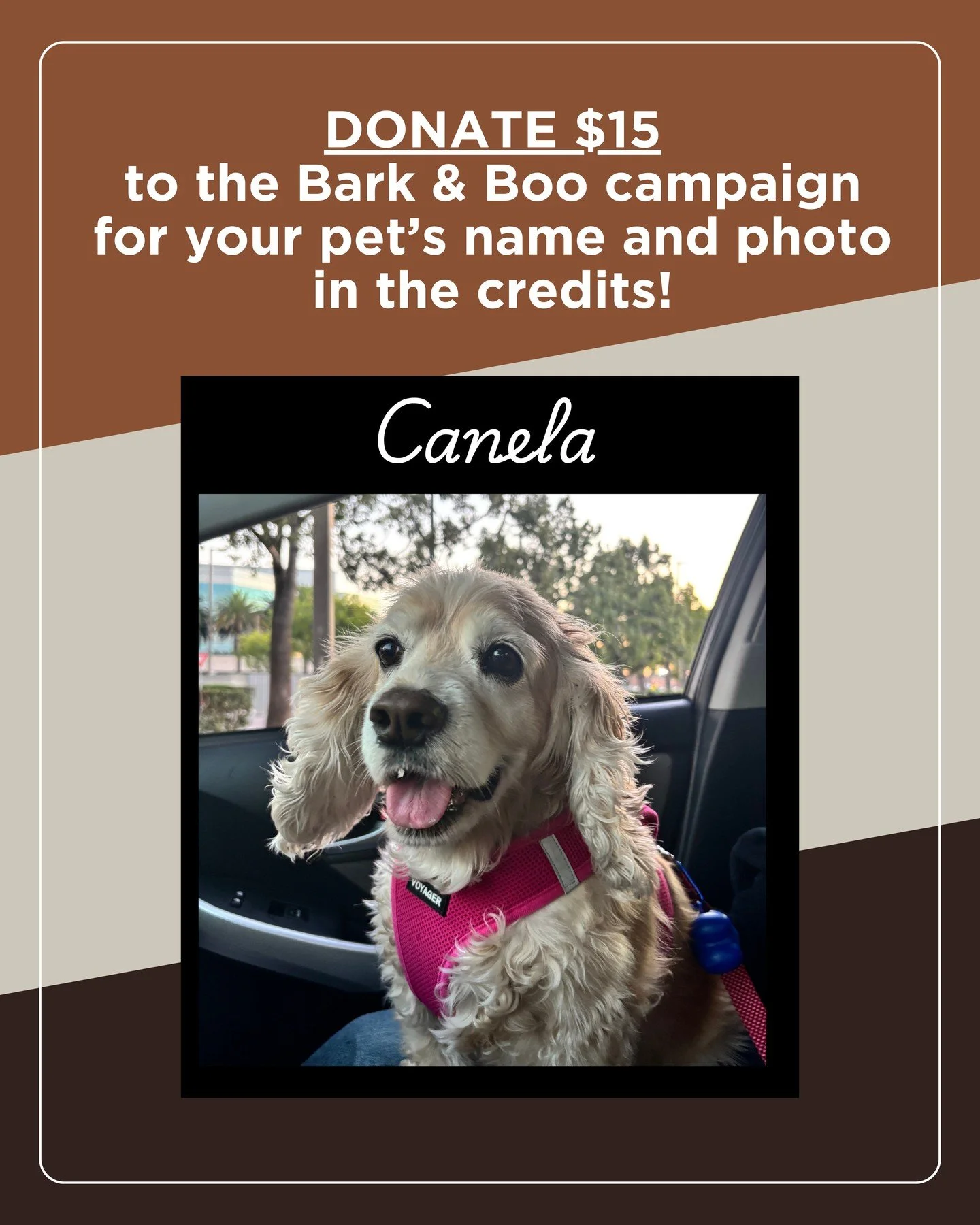 Shoutout to Canela! This cute doggo and @piojitolicious donated to @barkandboothemovie! Canela's adorable face will be added to the end credits! Thank you! Add your pet to Bark &amp; Boo's journey and legacy! FOLLOW THE LINK IN THE DESCRIPTION! #dogs