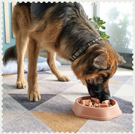 5 Best Slow-Feeder Dog Bowls (Kinship)