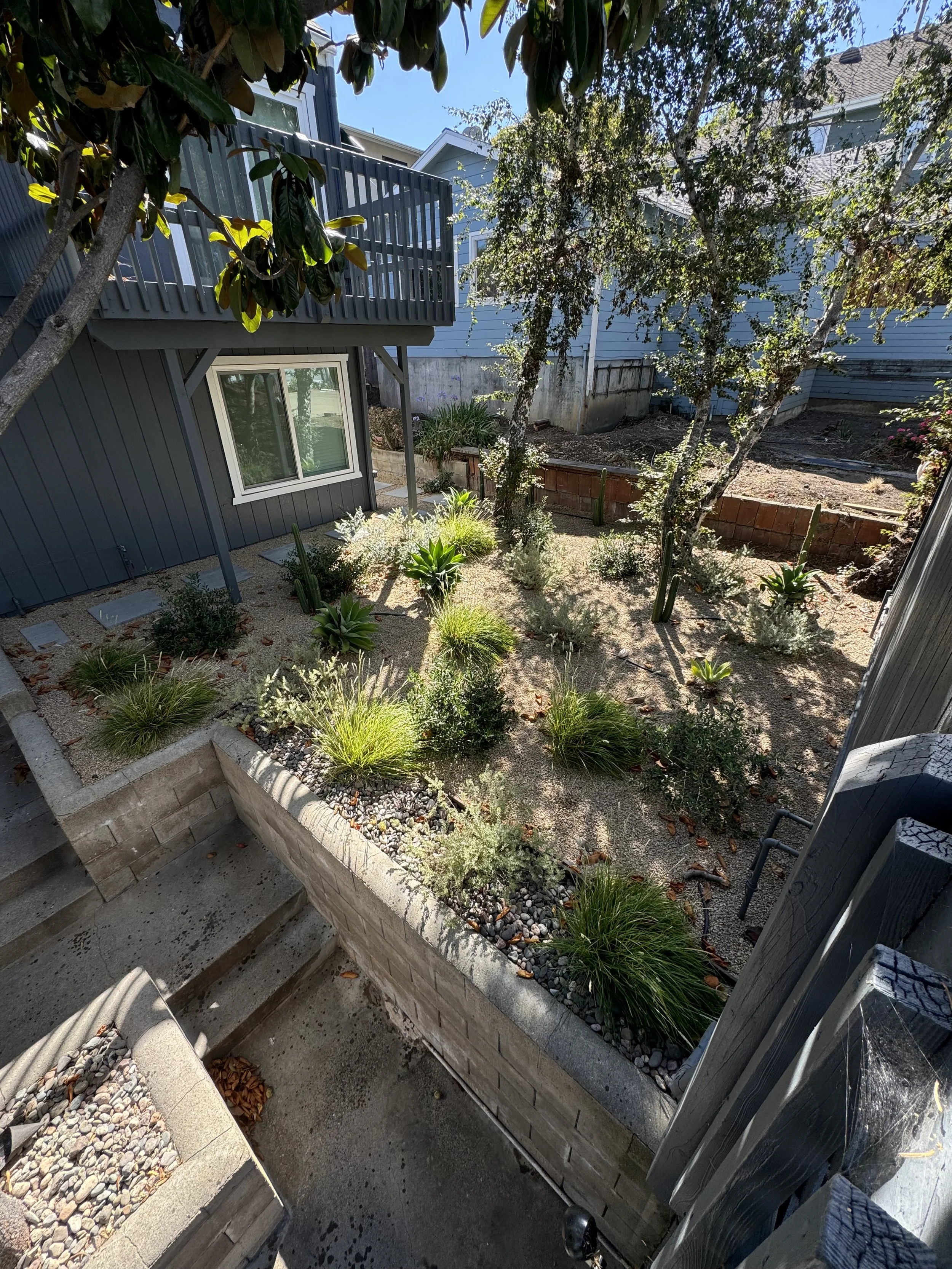 View of a landscaped backyard garden with trees, bushes, and desert plants, with a two-story house with a balcony in the background, seen from a stairway.