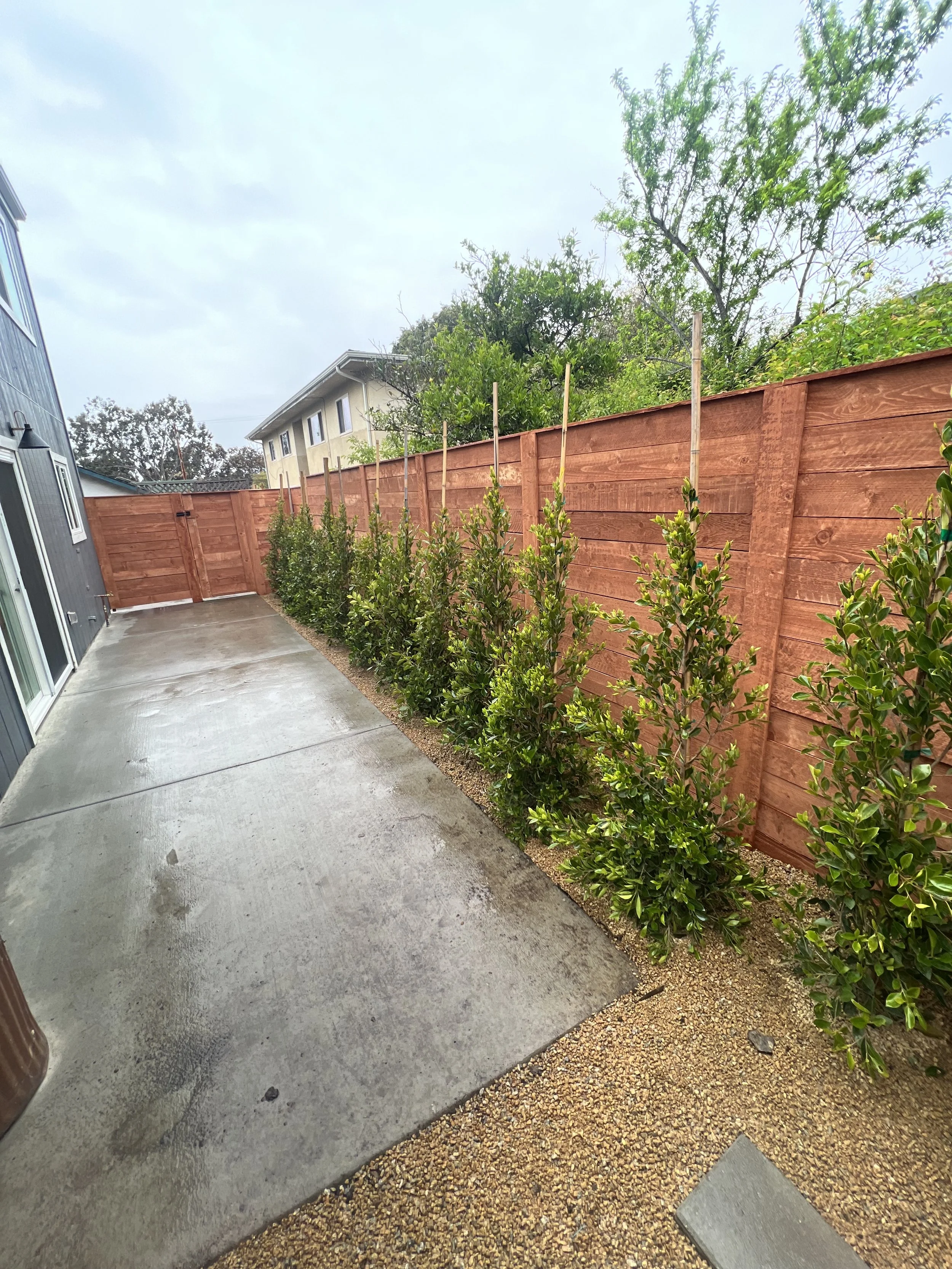 A backyard concrete patio with a row of green bushes along a wooden fence, and a neighboring house with trees in the background.
