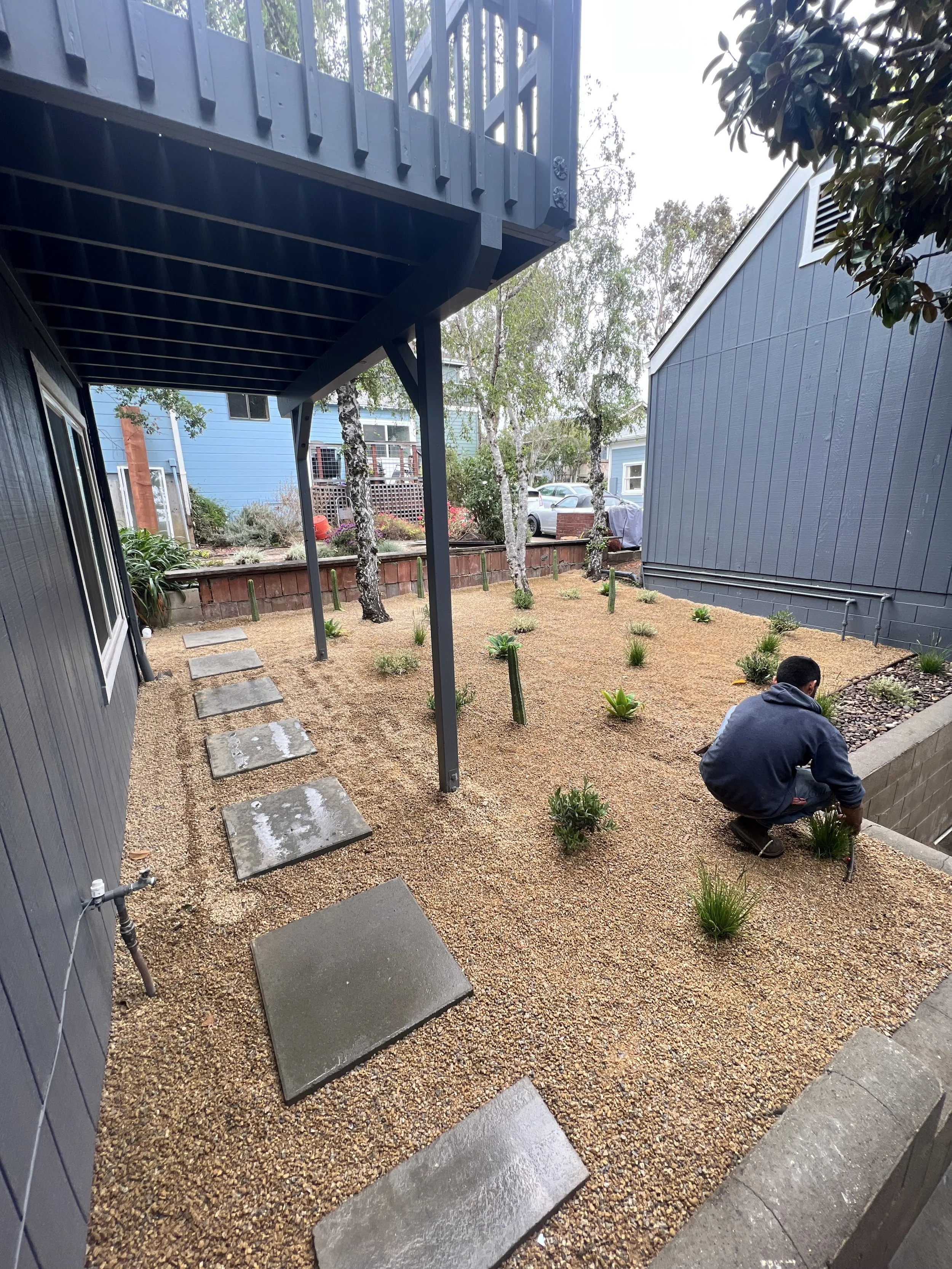 A person kneeling in a landscaped backyard with small plants, gravel ground cover, and stepping stones next to a blue house with a balcony.
