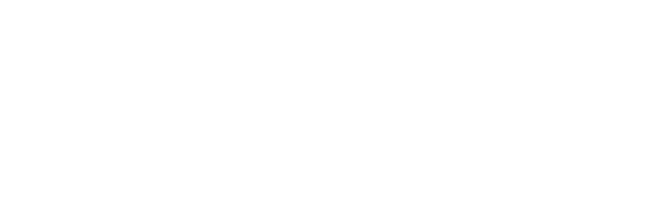 Logo for SLO Outdoor Design and Build, featuring a stylized branch or plant above the text.