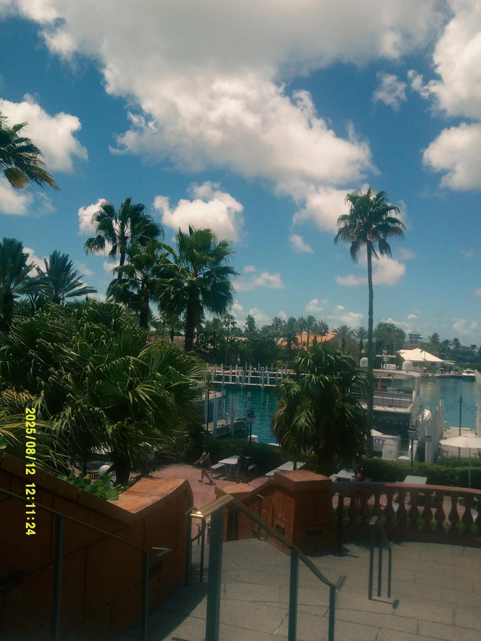 bahama-29.jpeg