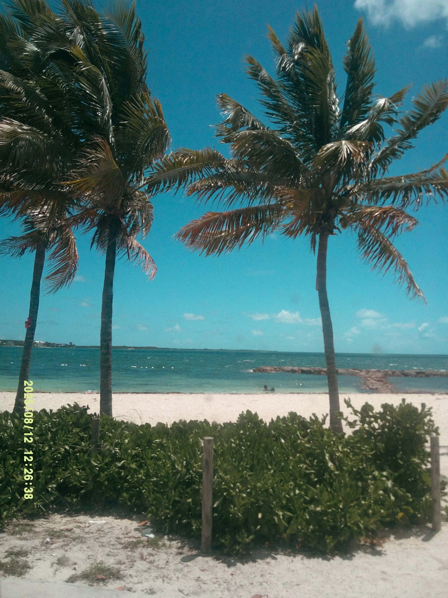 bahama-26.jpeg