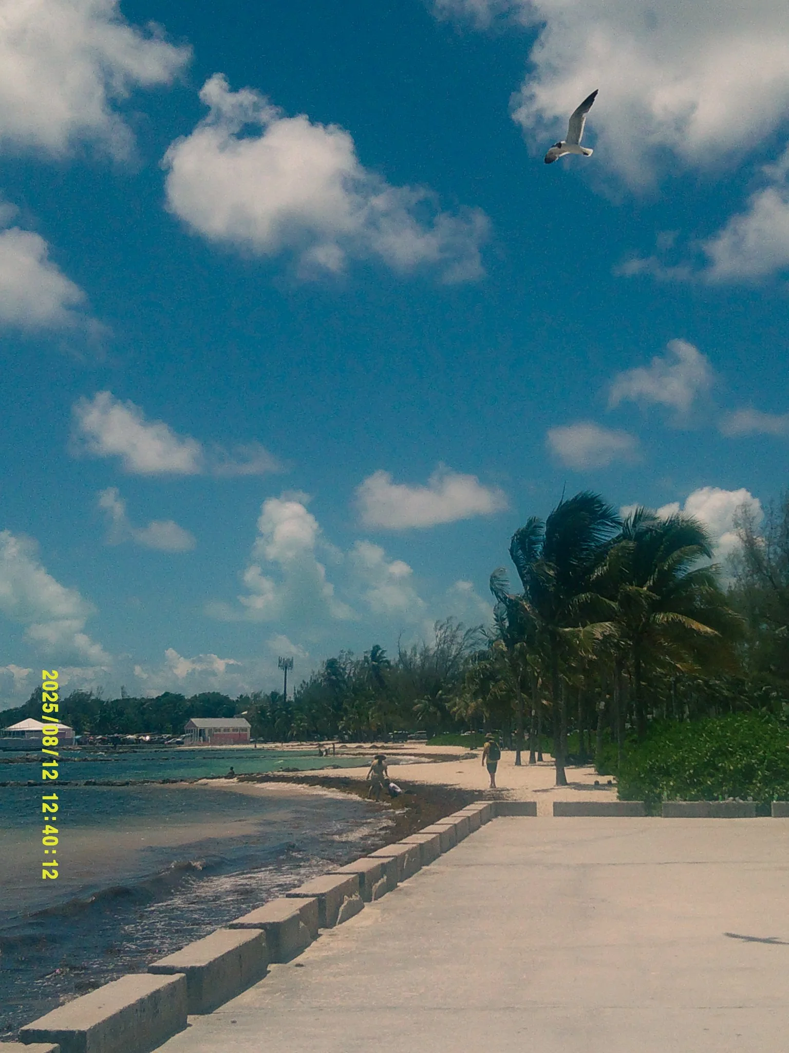 bahama-22.jpeg