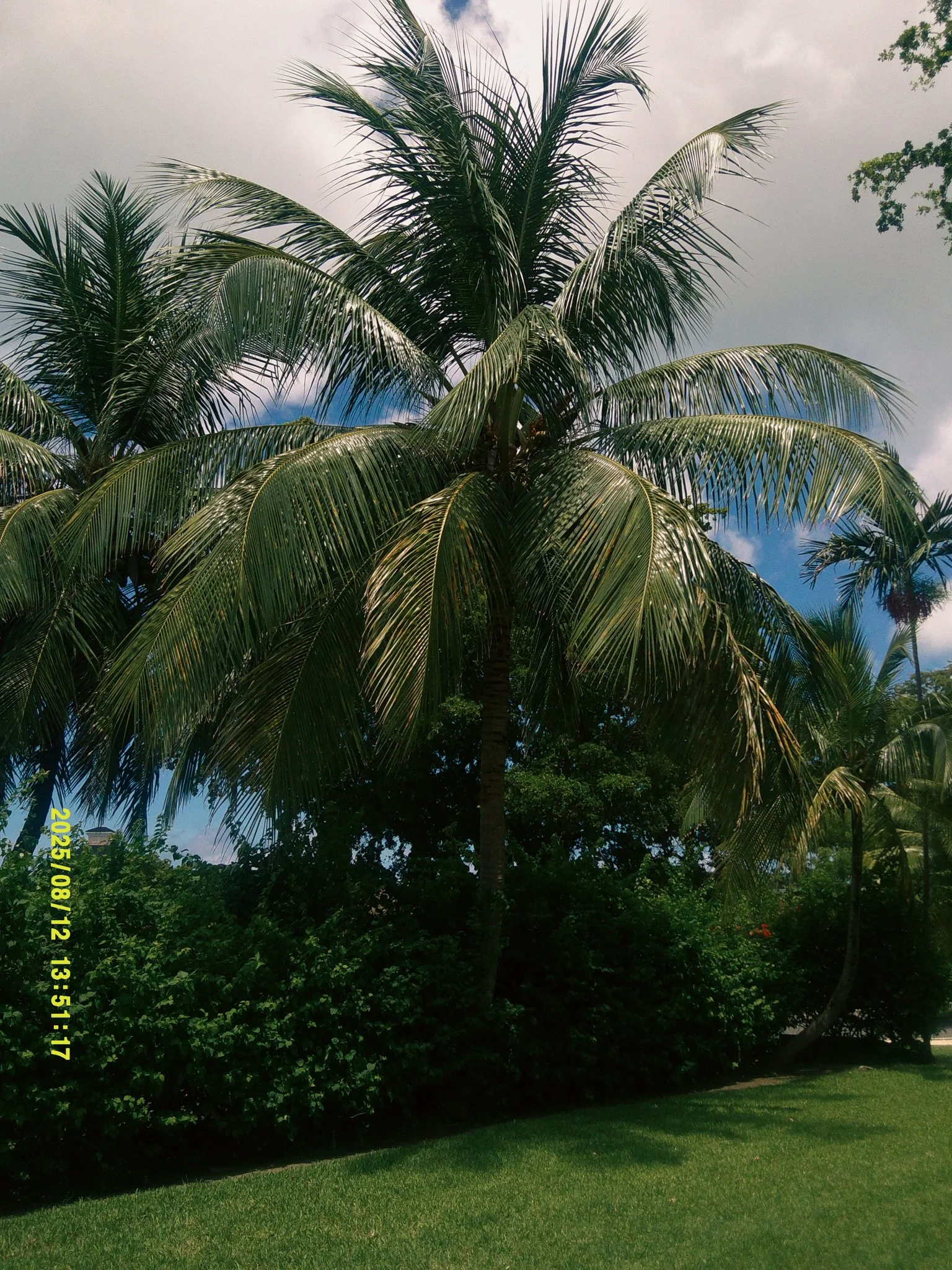 bahama-15.jpeg