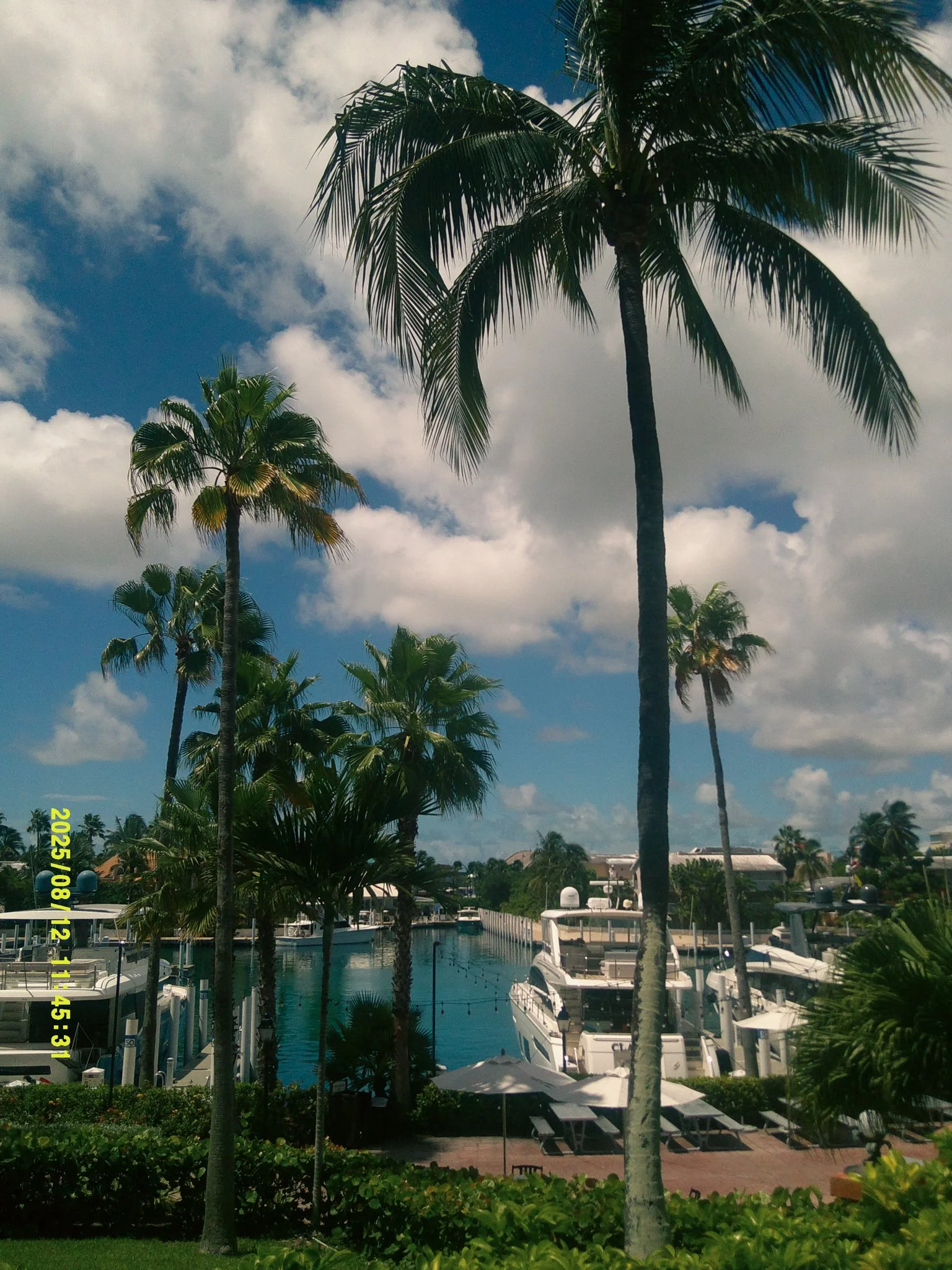 bahama-31.jpeg