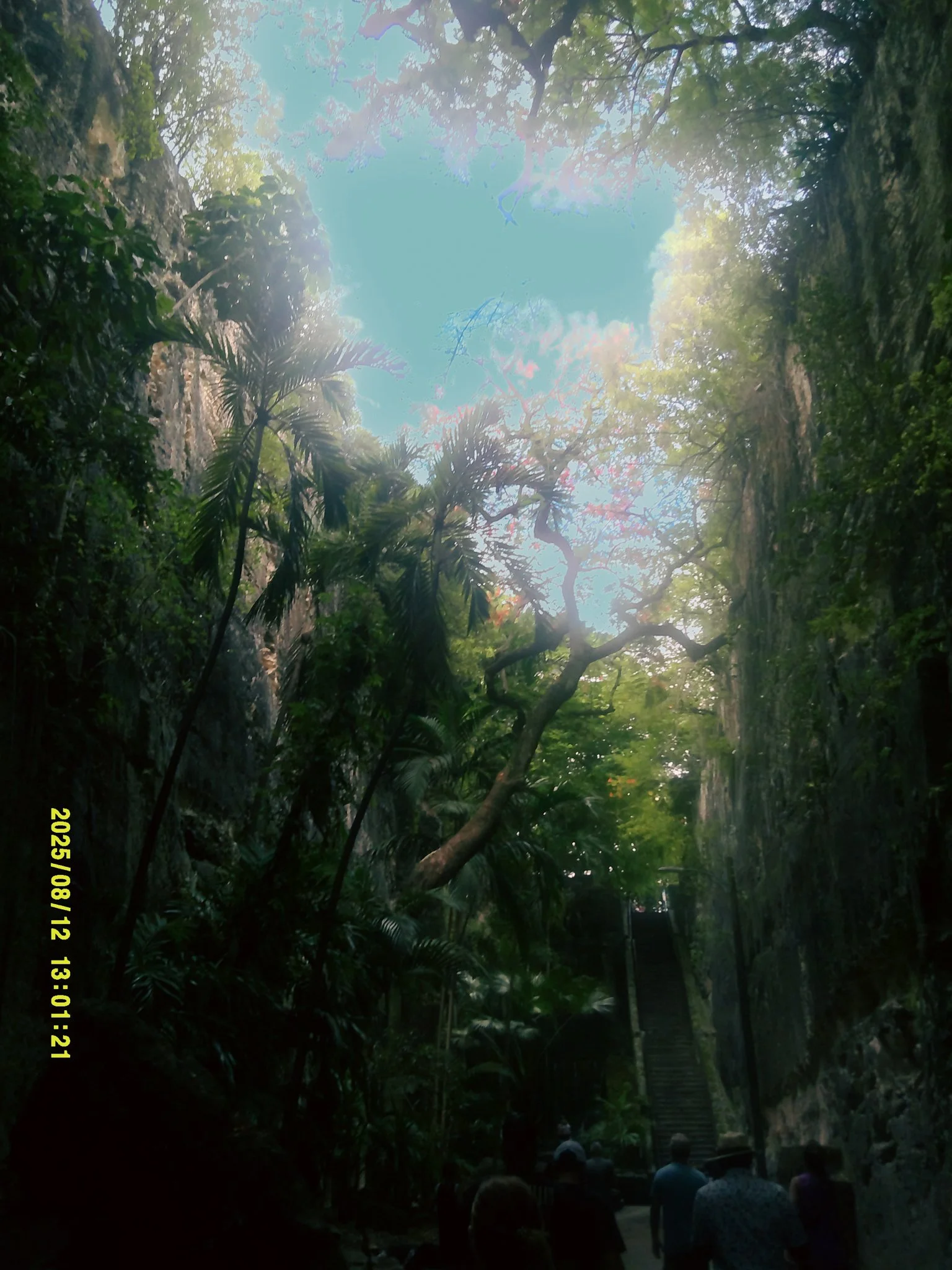 bahama-20.jpeg
