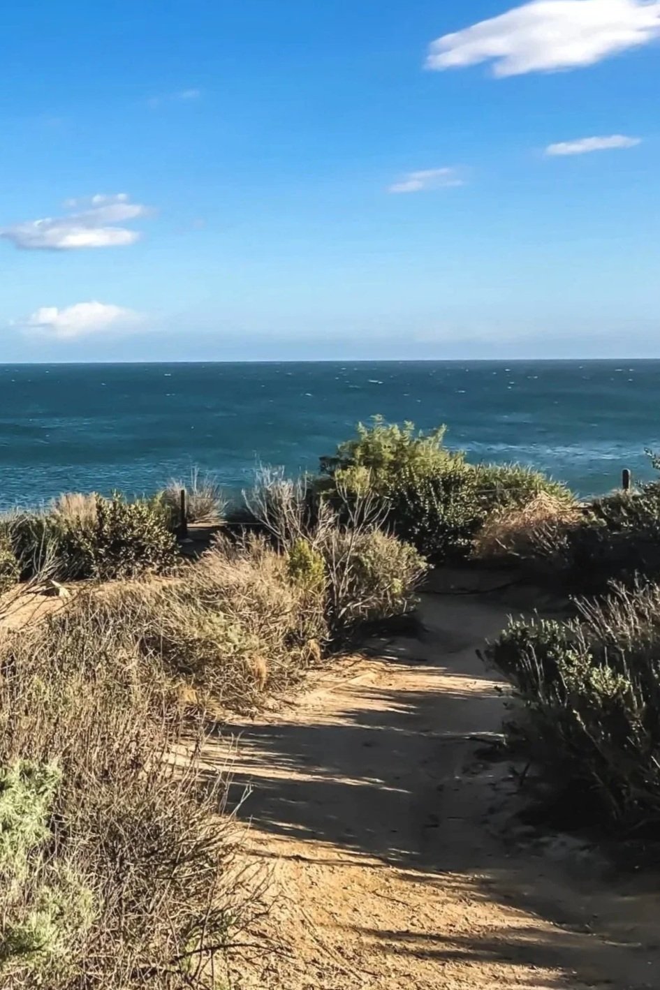 A dirt path leading to the ocean, surrounded by coastal bushes, under a blue sky with a few clouds.