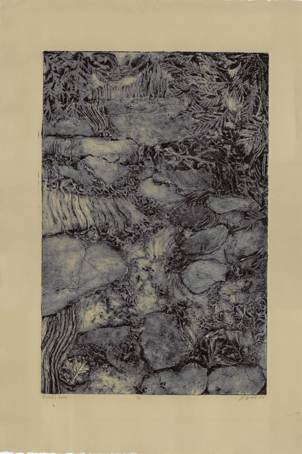 Dianas Baths VE2 | Spring 2025 | Intaglio Collagraph Print