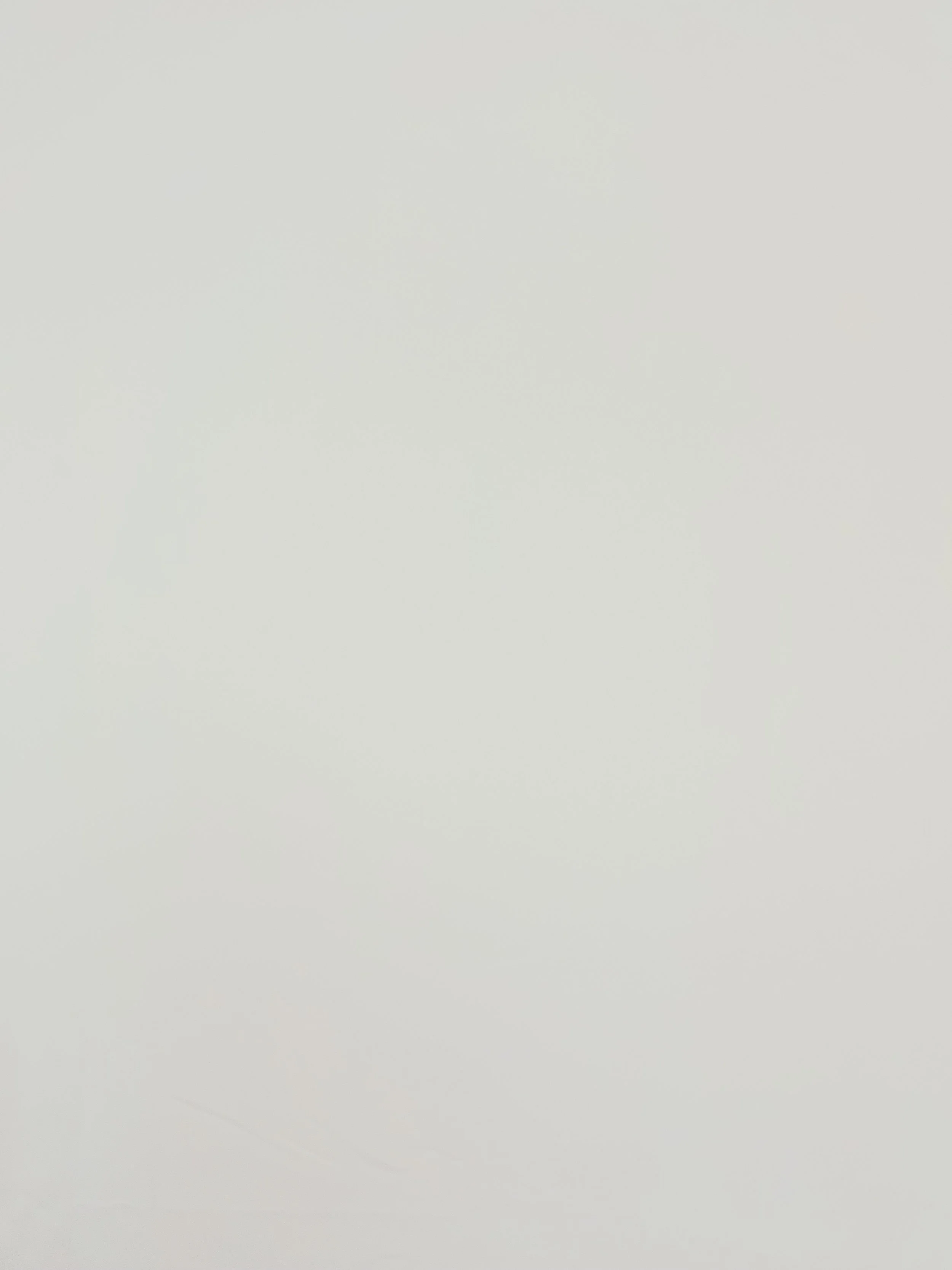 White Photobooth Backdrop