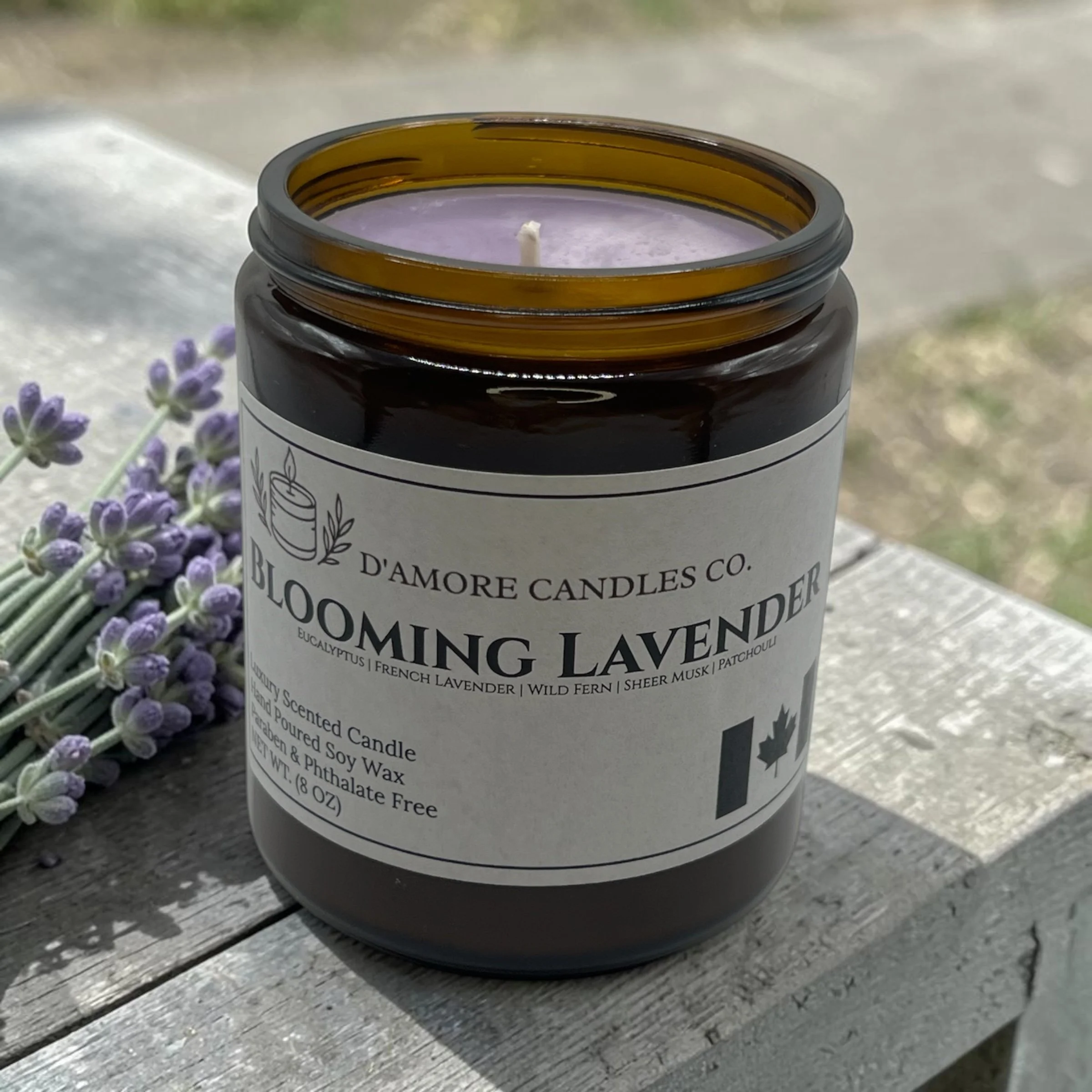 Blooming Lavender