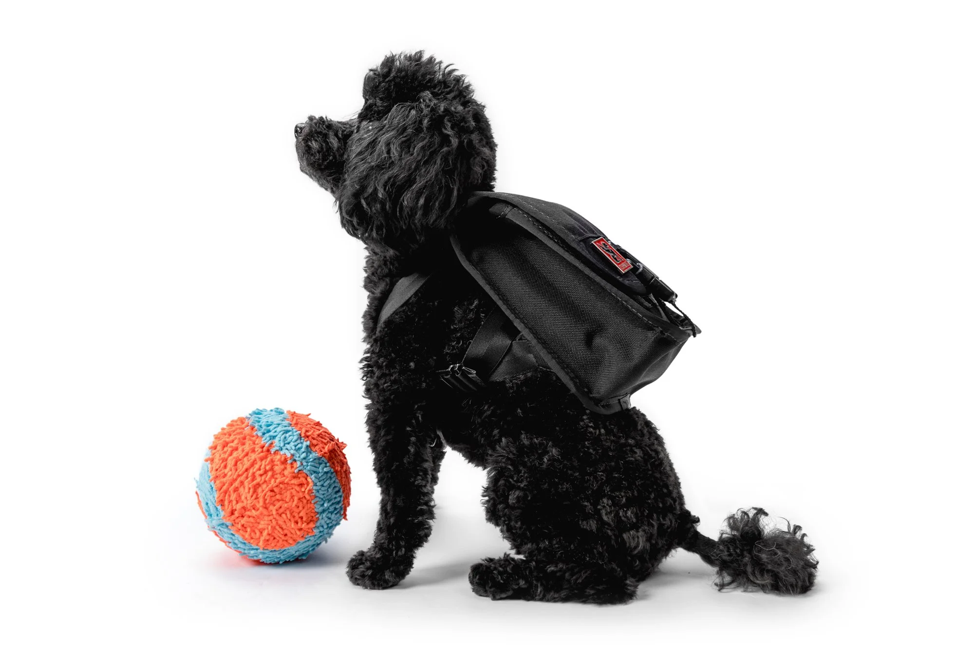 ChromeIndustries_UnleashedCollection_DogsOfChrome-Franki2.jpg