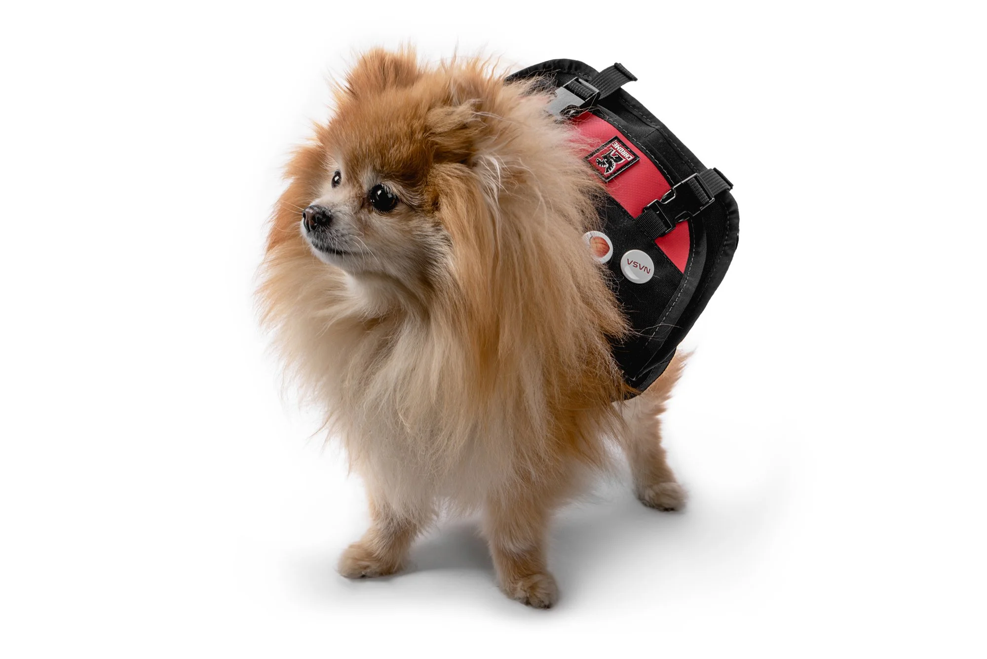 ChromeIndustries_UnleashedCollection_DogsOfChrome-Layla.jpg