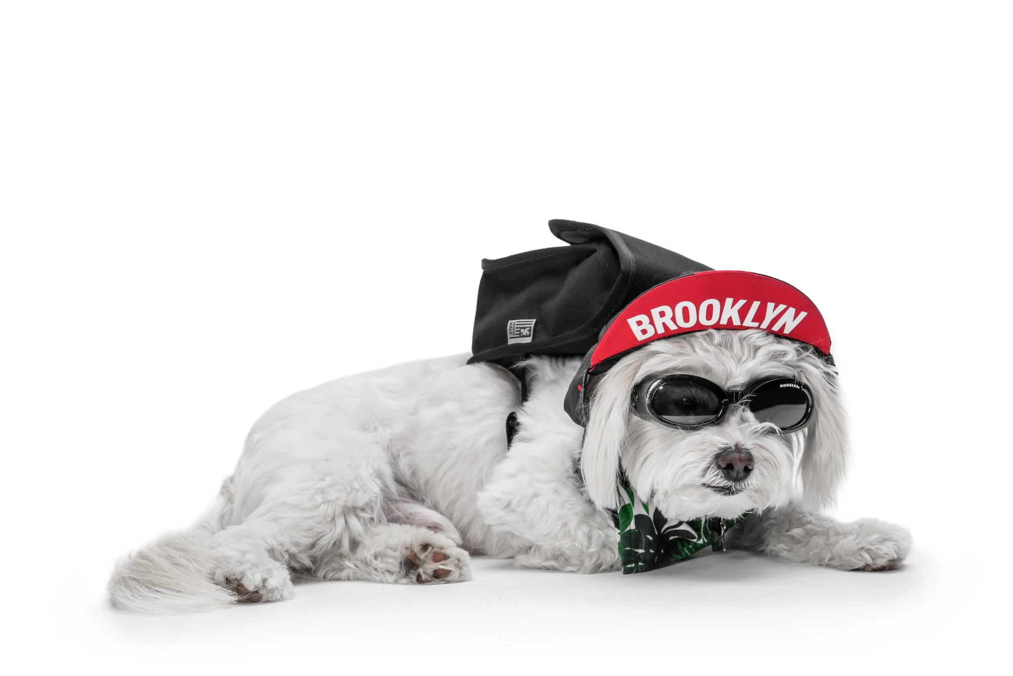 ChromeIndustries_UnleashedCollection_DogsOfChrome-Ernie3.jpg