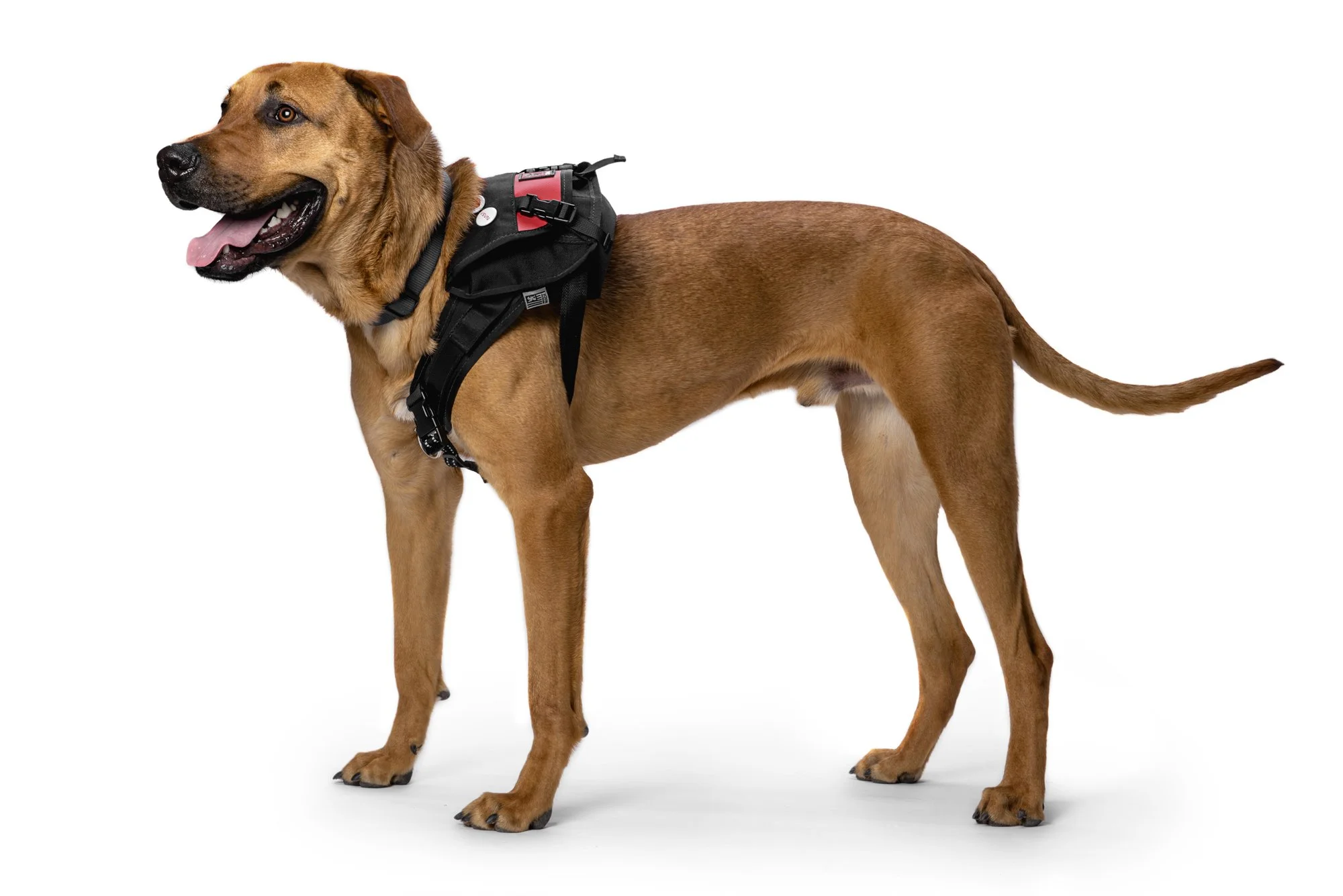 ChromeIndustries_UnleashedCollection_DogsOfChrome-Atlas1.jpg