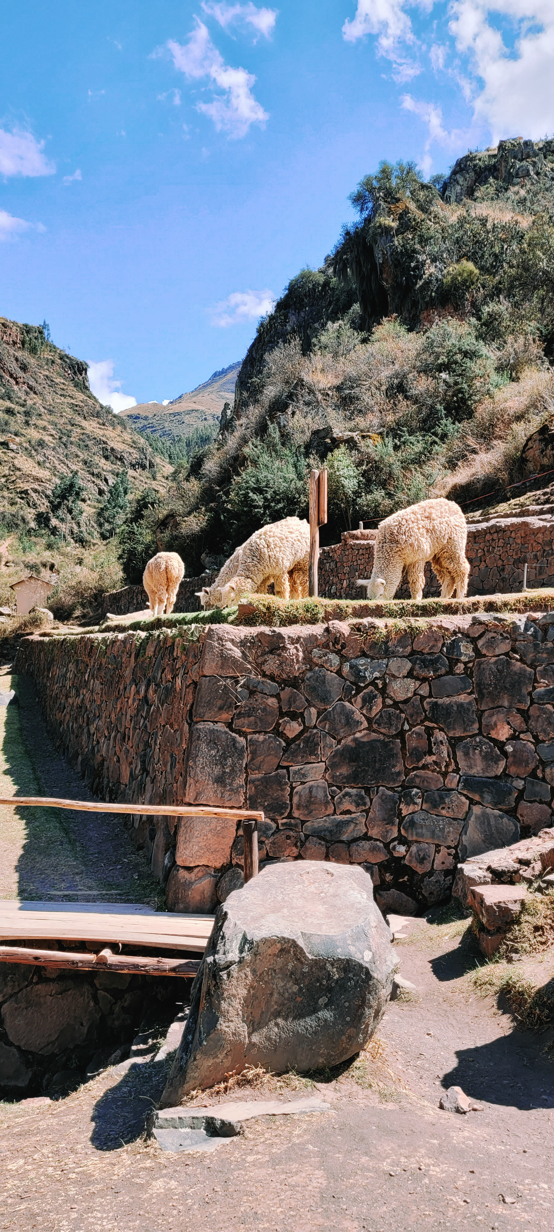 travel landscape curated by Chapter Journeys, luxury bespoke journey