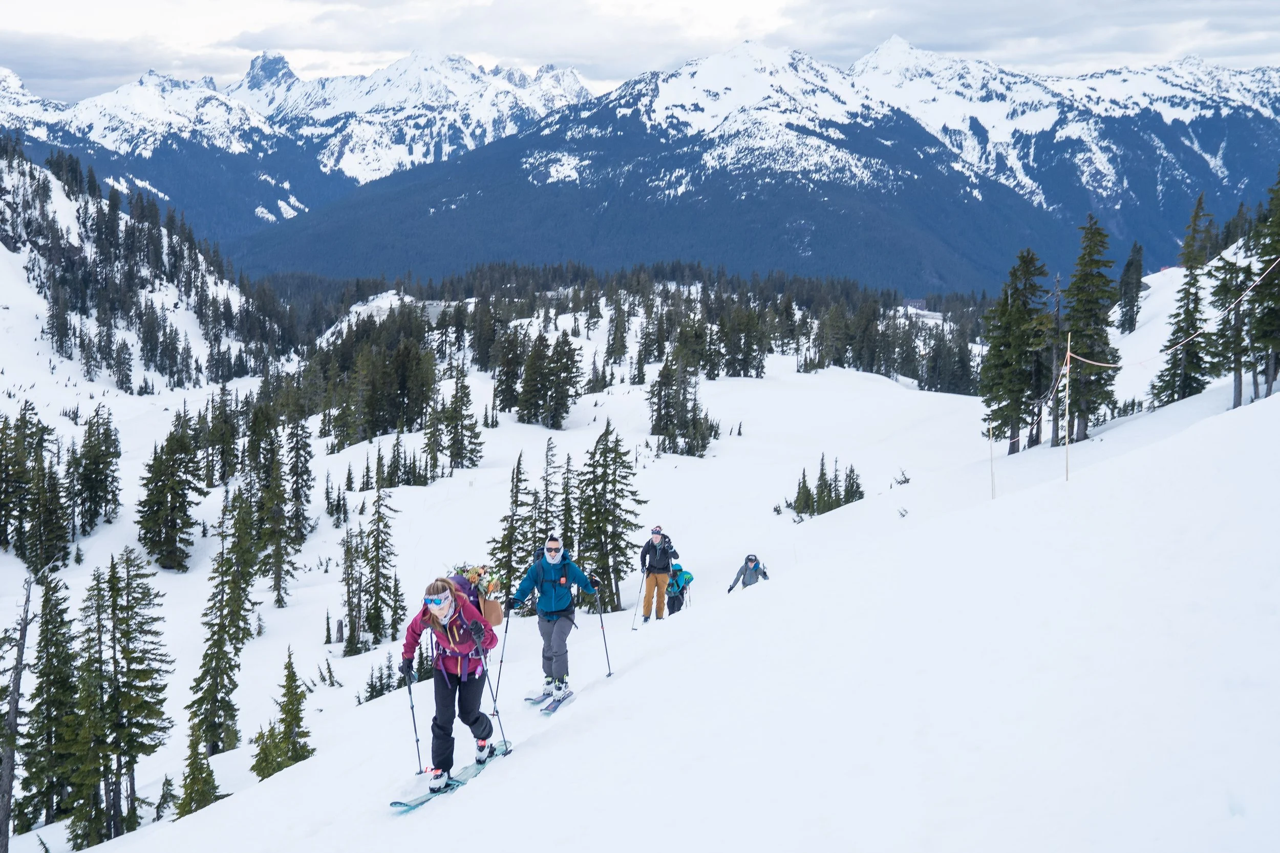 A photo of a group heading uphill on skis in the Baker Backcountry in mid-winter. The mountains in the background are covered in snow.