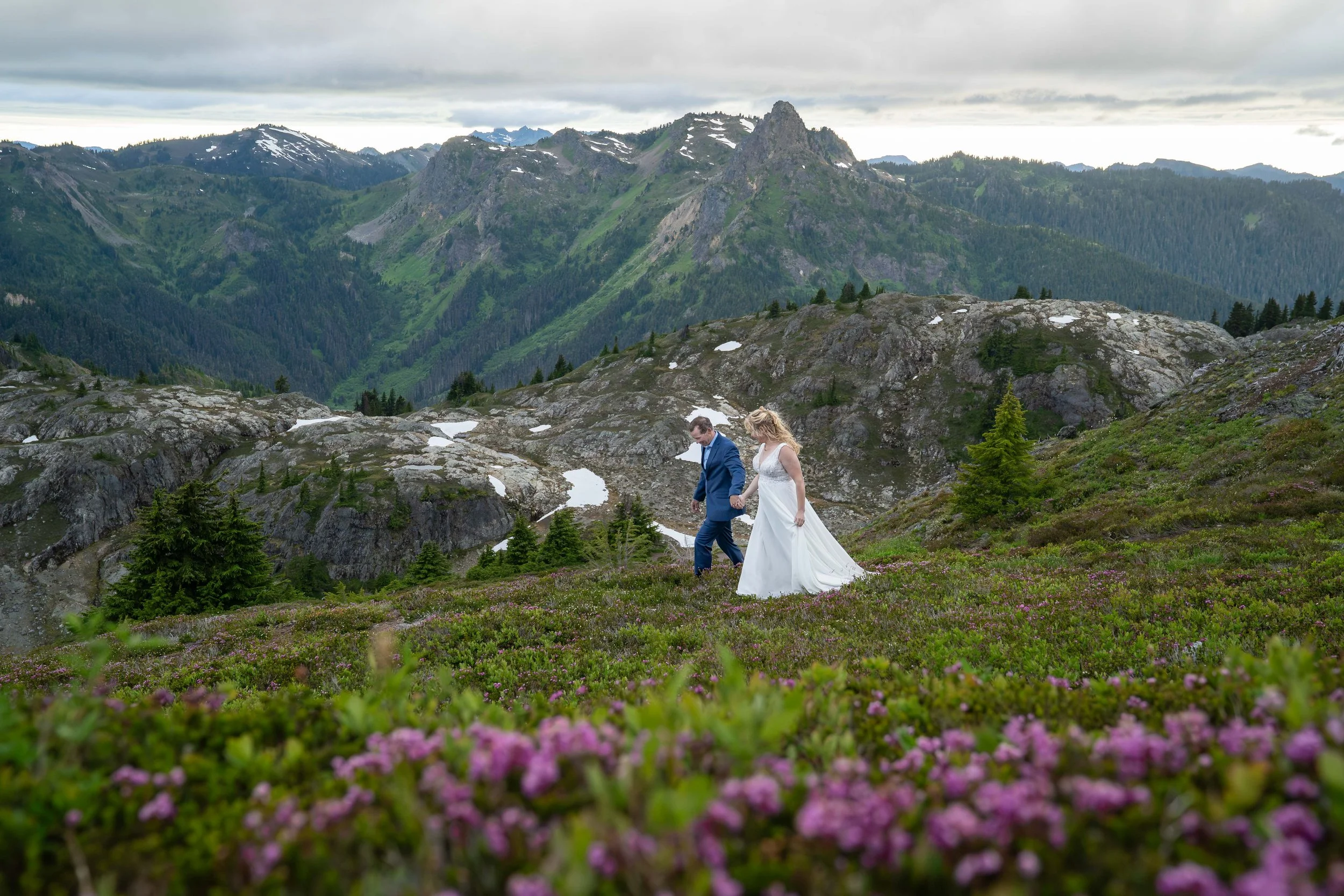 A bride and groom in wedding clothes walk through a blooming subalpine meadow in the North Cascades, with purple heather in the foreground of the image. The snowy ridgeline of the High Divide is visible behind them.