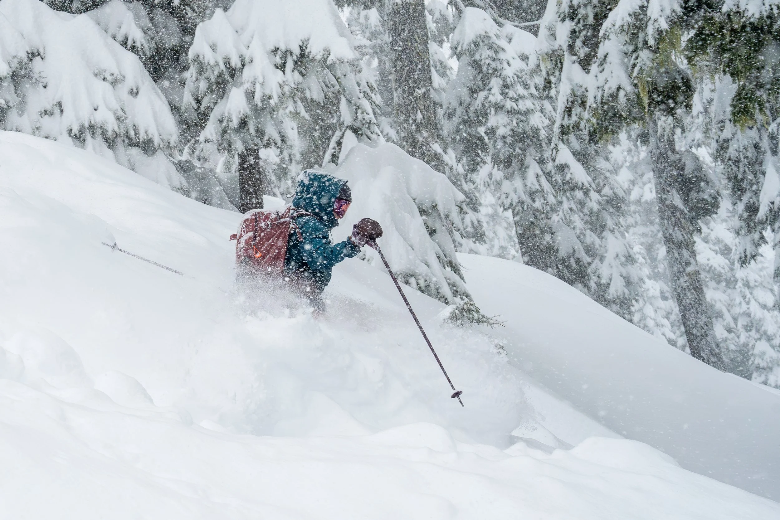 Photo of woman skiing through deep powder in the Alpental Valley at Snoqualmie Pass, Washington. She is creating a waist-deep cloud of powder and the forest behind her is covered in fresh snow.