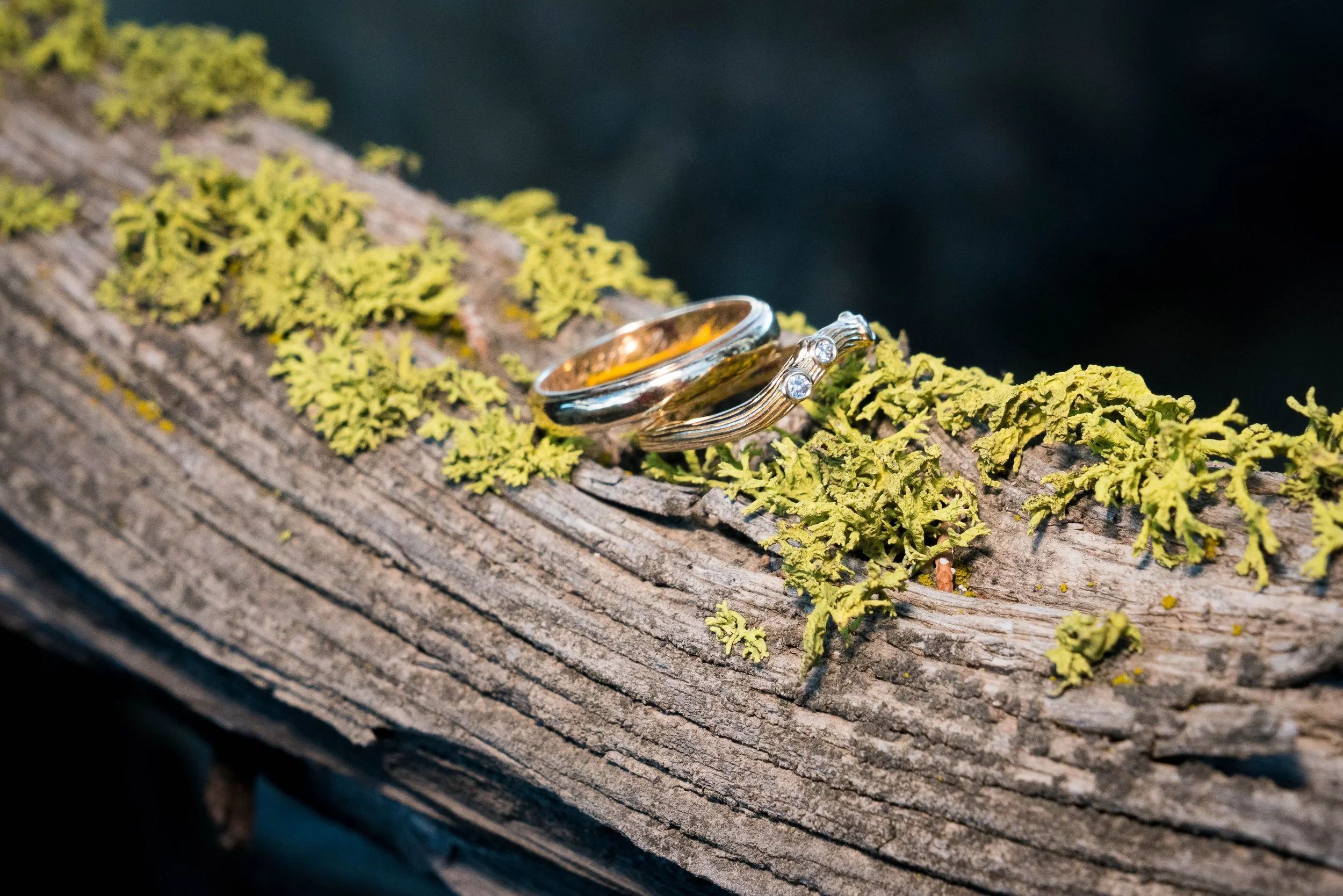 A photo of wedding rings sitting on a mossy log.